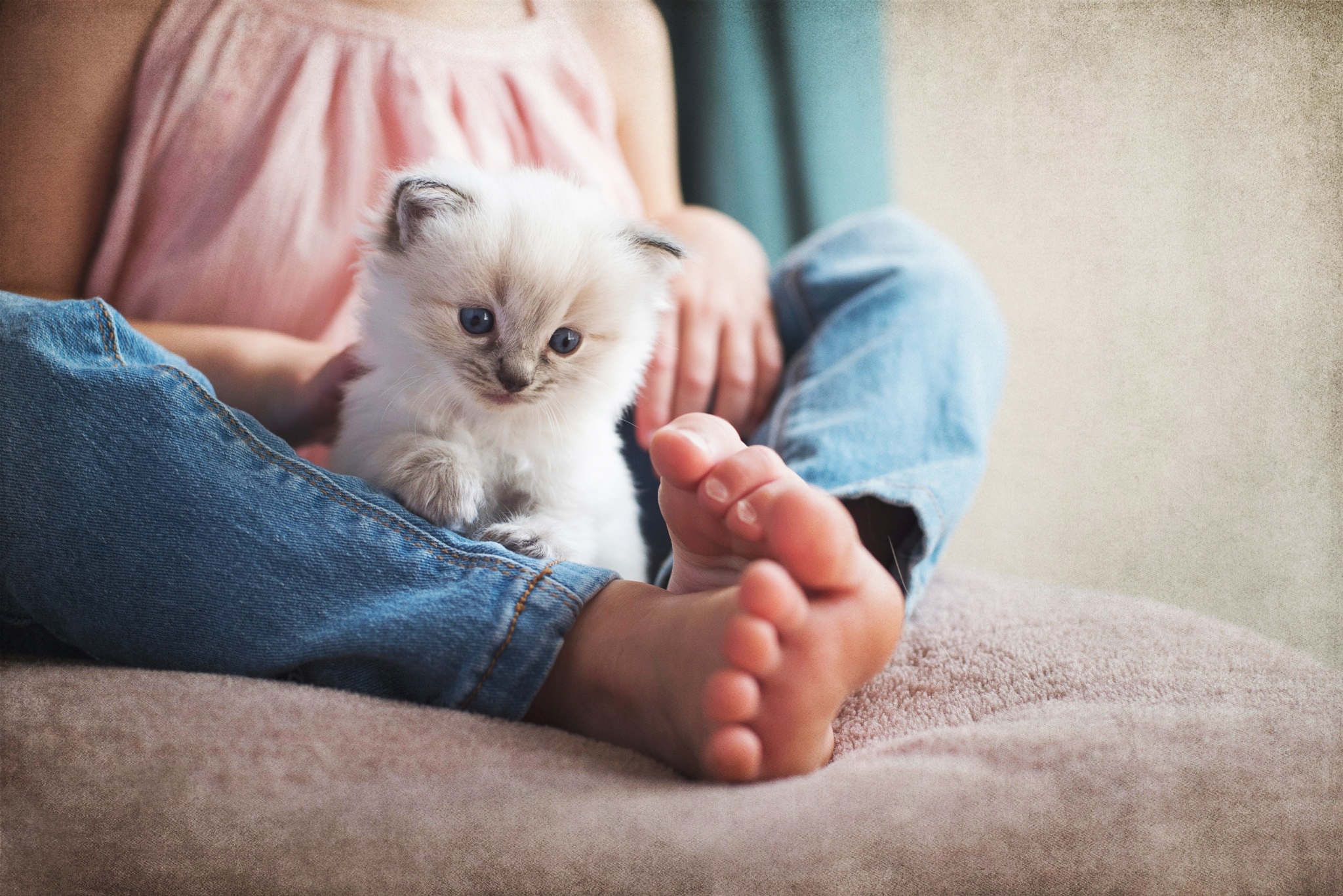 Handy-Wallpaper Tiere, Katzen, Katze, Kätzchen, Tierbaby kostenlos herunterladen.