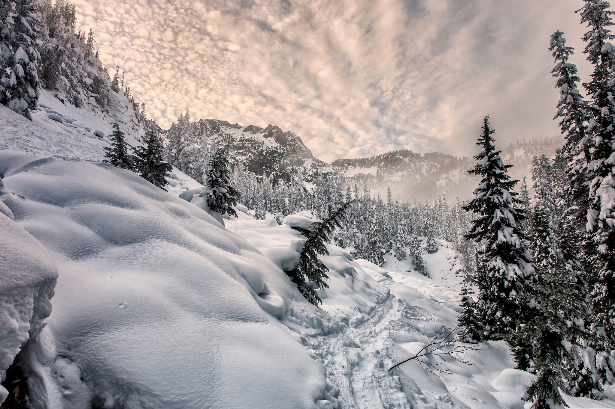 Скачать картинку Зима, Природа, Облака, Снег, Дерево, Земля/природа в телефон бесплатно.