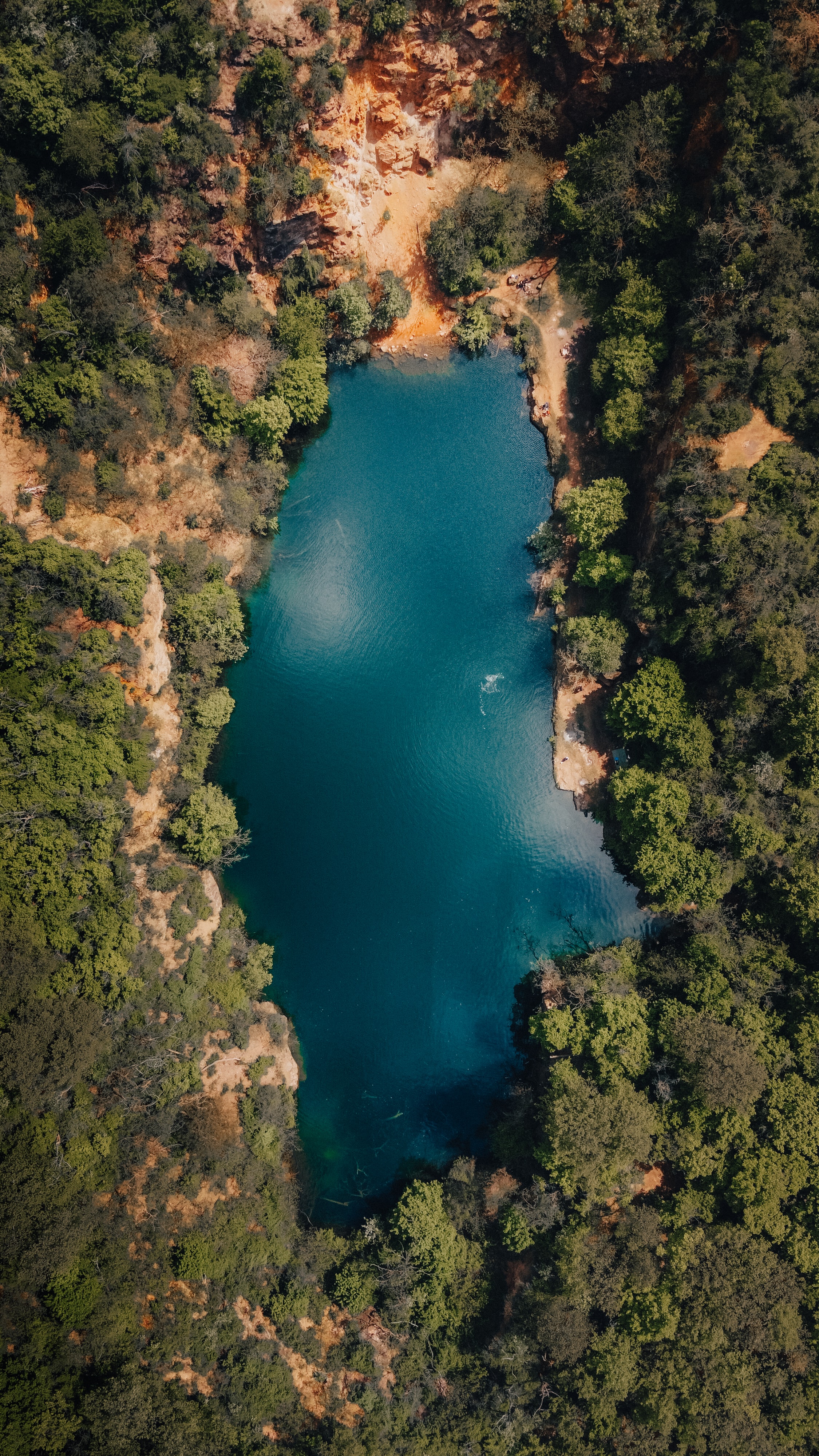forest, lake, nature, trees, view from above for android