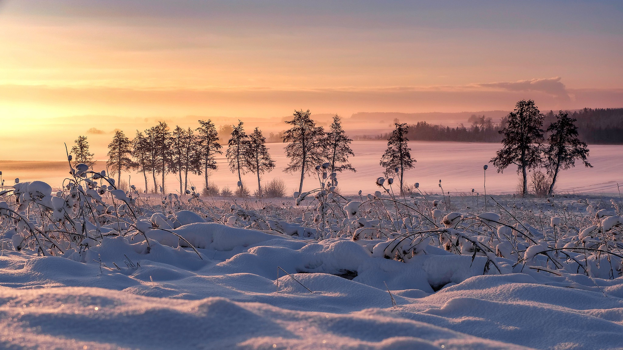 Download mobile wallpaper Landscape, Winter, Snow, Sunrise, Earth for free.