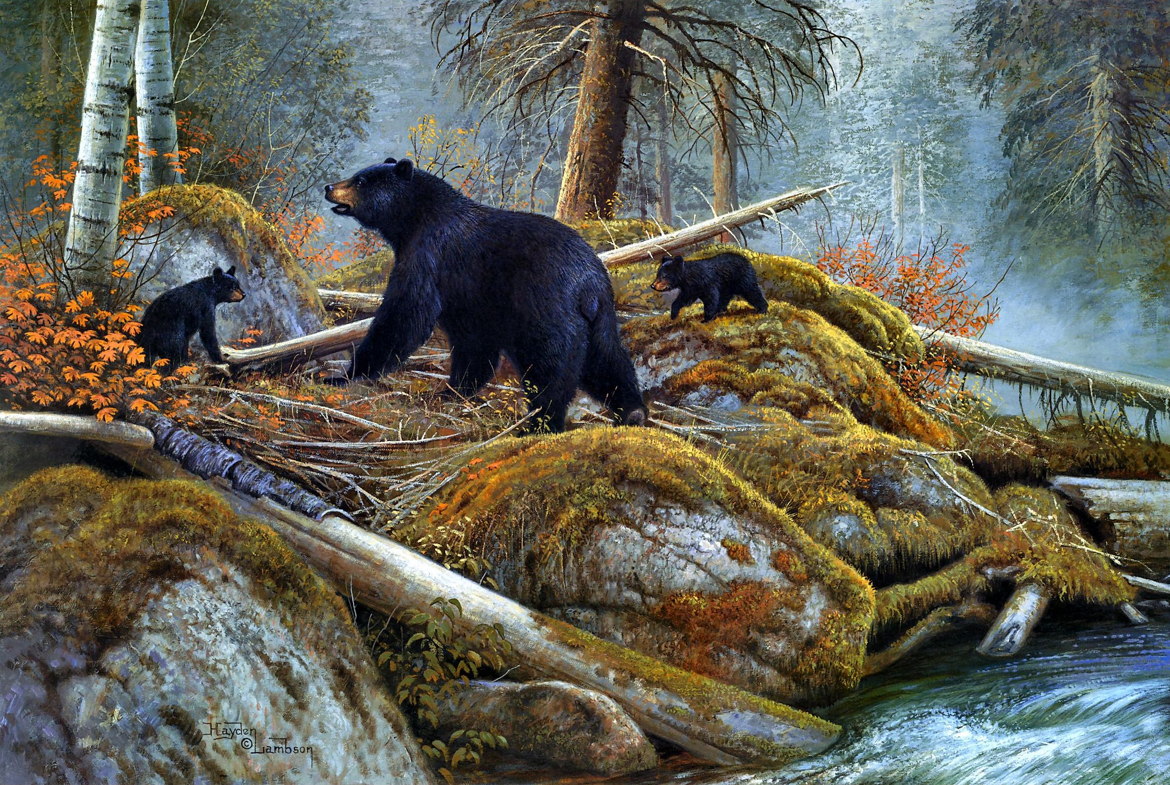 738781 завантажити картинку художній, американський чорний ведмідь, чорний ведмідь, дитинча, падіння, ліс, грізлі - шпалери і заставки безкоштовно