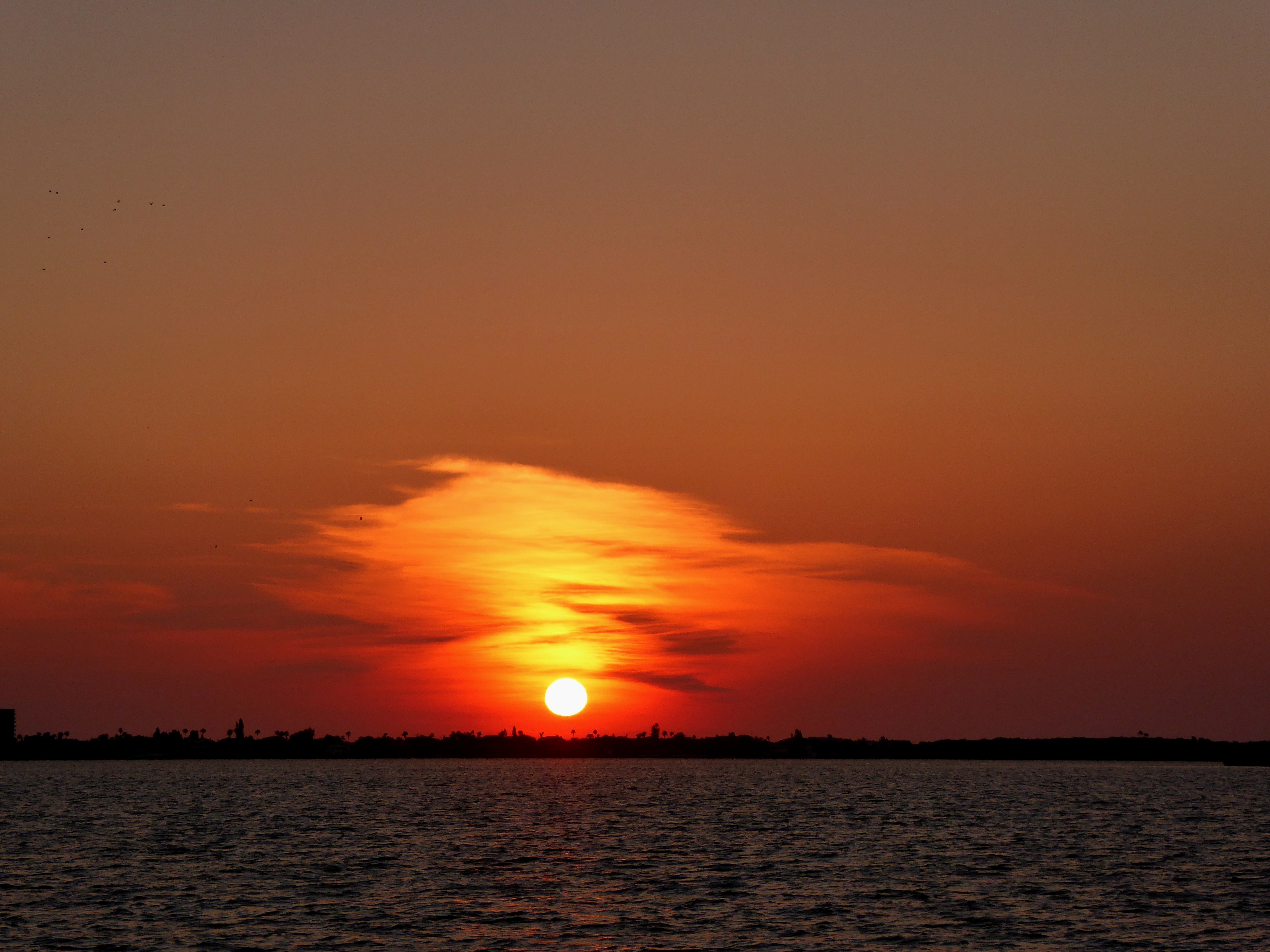 PCデスクトップに自然, 地平線, 日没, フロリダ, ビーチ画像を無料でダウンロード