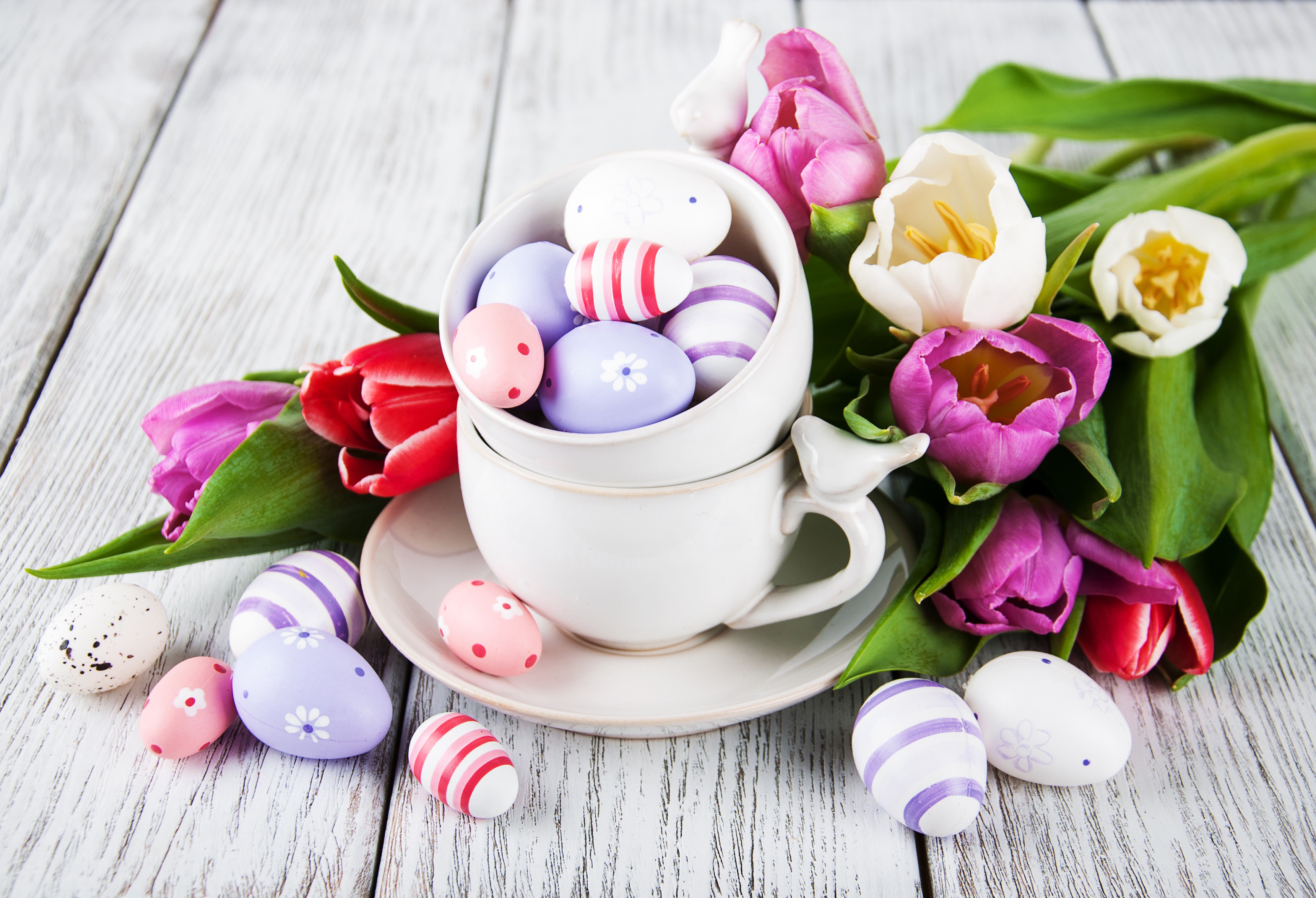 Download mobile wallpaper Easter, Still Life, Flower, Cup, Holiday, Tulip, Easter Egg for free.
