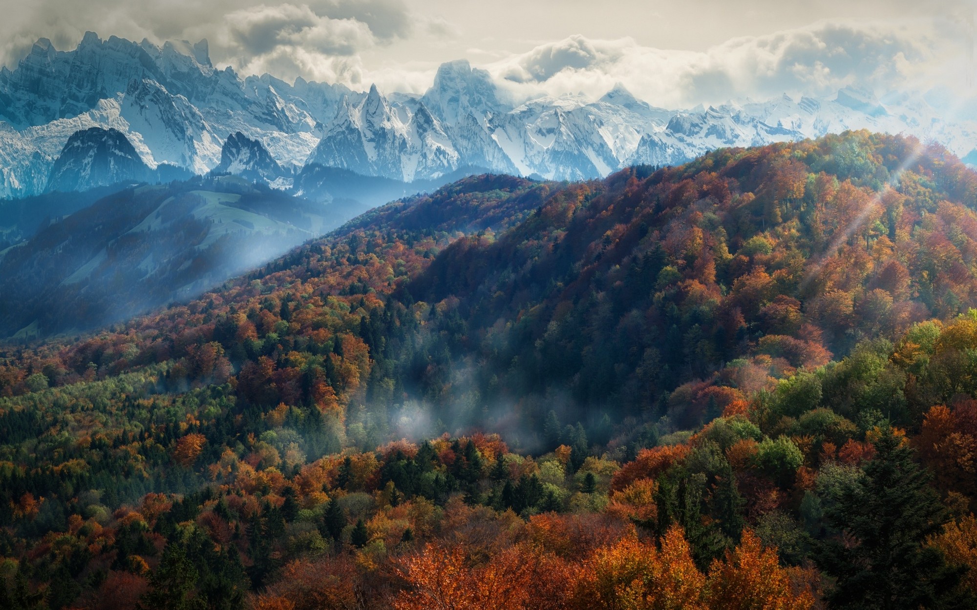 無料モバイル壁紙風景, 秋, 山, 森, 霧, 地球, サンビーム, クラウドをダウンロードします。