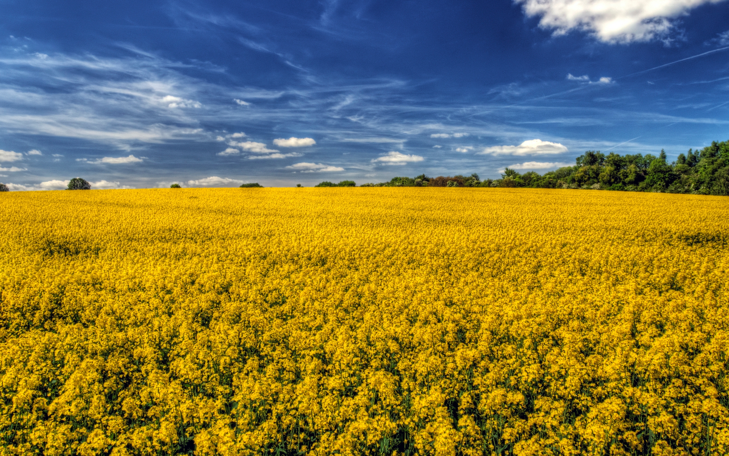 Descarga gratis la imagen Paisaje, Tierra/naturaleza en el escritorio de tu PC