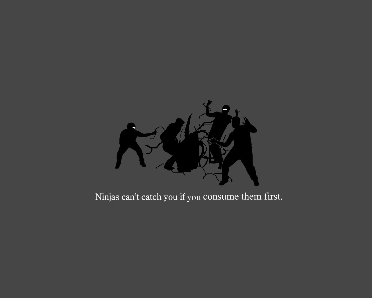 humor, ninjas, ninja