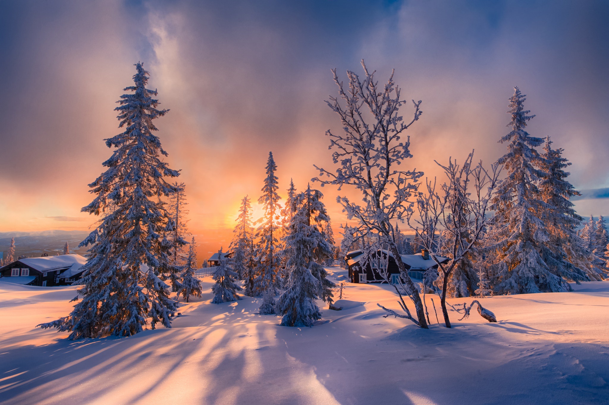 Baixar papel de parede para celular de Inverno, Pôr Do Sol, Neve, Árvore, Fotografia gratuito.