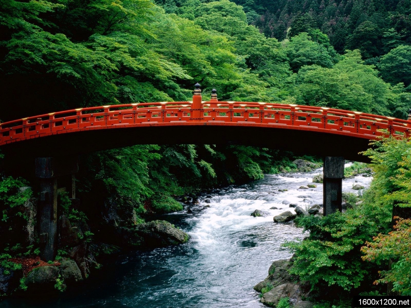 無料モバイル壁紙川, 木, 橋, 風景をダウンロードします。