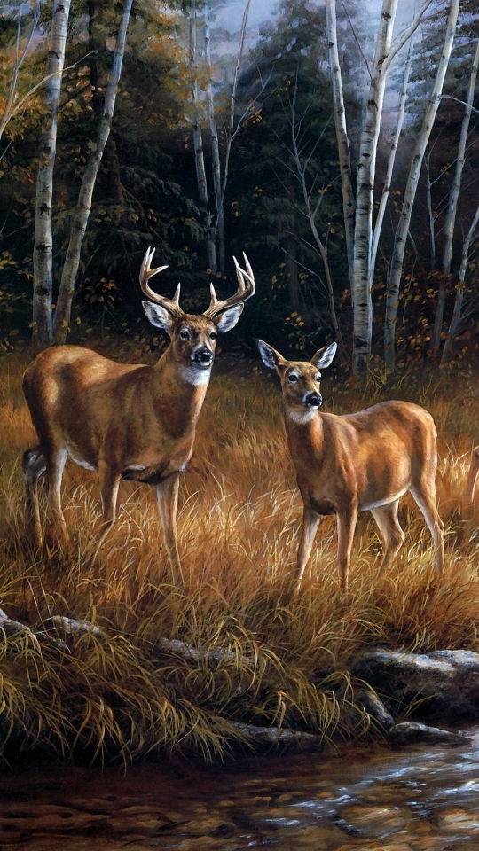 1247192壁紙のダウンロード動物, 鹿, 男性だけの, ストリーム, 秋-スクリーンセーバーと写真を無料で