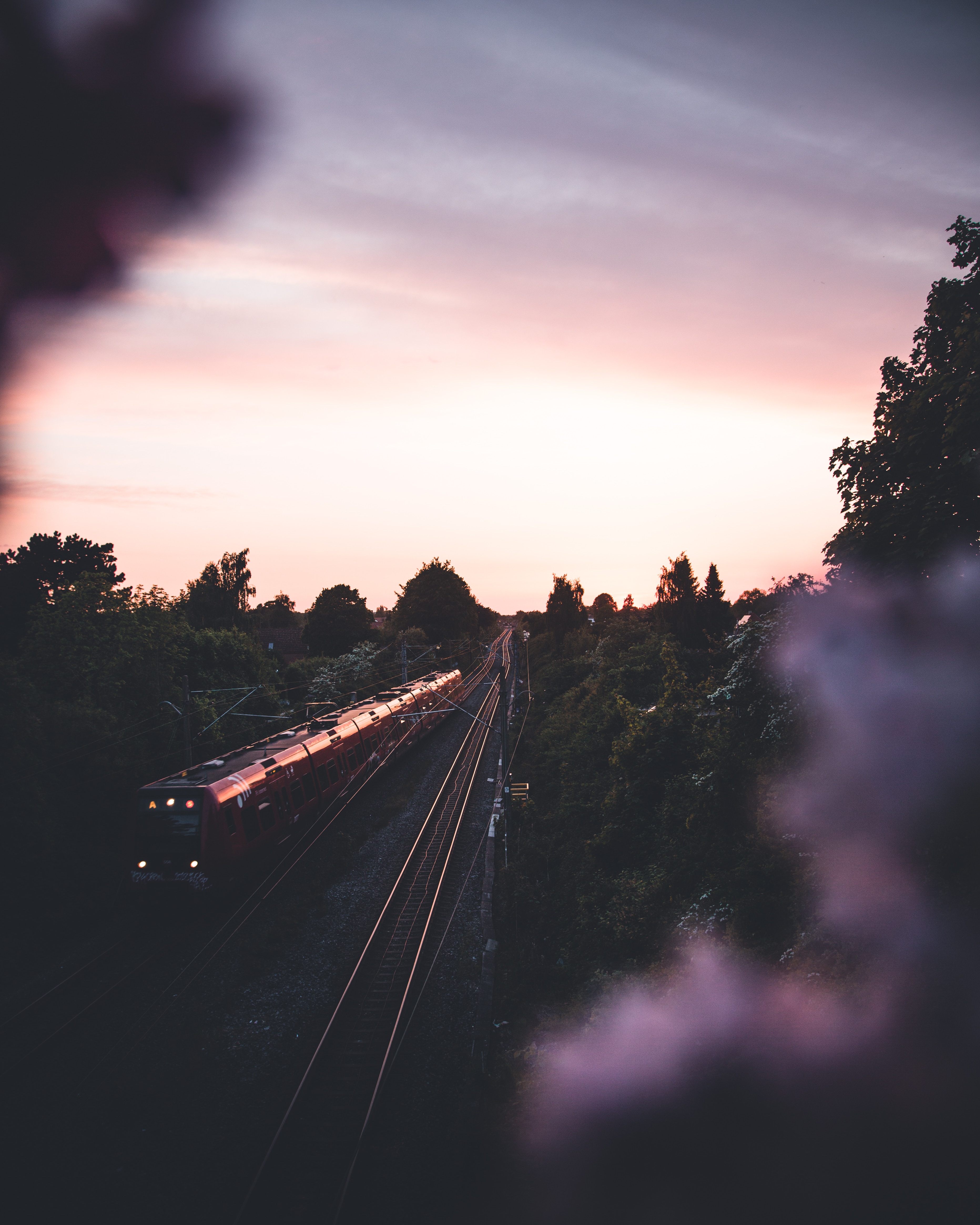 railway, rails, trees, twilight, dark, miscellanea, miscellaneous, dusk, train