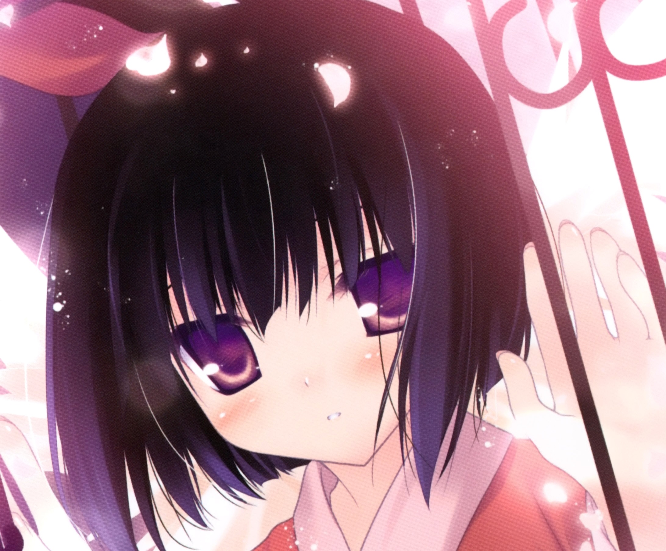 Free download wallpaper Anime, Cherry Blossom, Original, Blush, Black Hair, Short Hair, Purple Eyes on your PC desktop