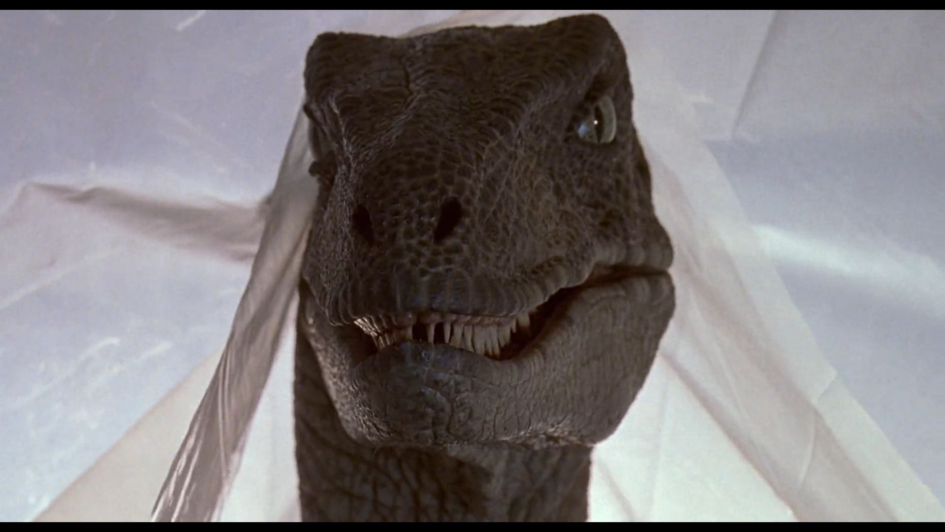 355625 Hintergrundbilder und Jurassic Park Bilder auf dem Desktop. Laden Sie  Bildschirmschoner kostenlos auf den PC herunter