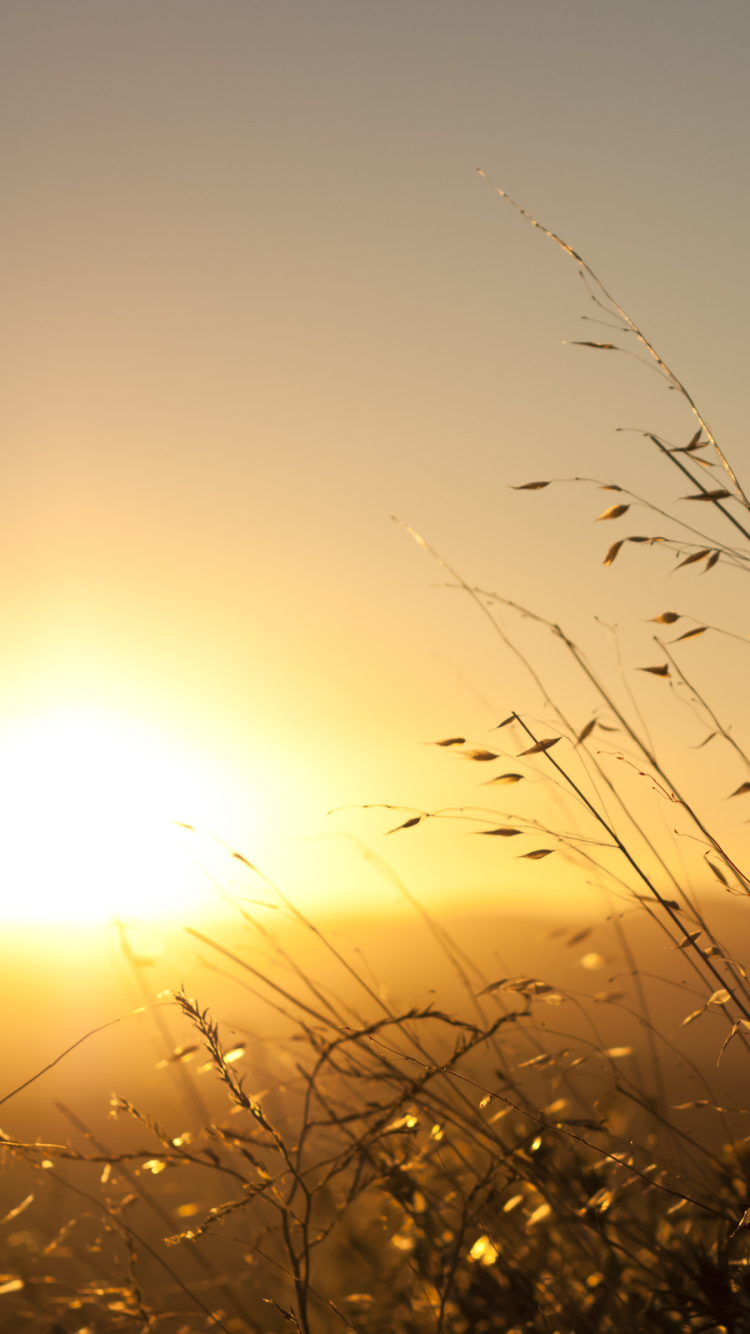 Descarga gratuita de fondo de pantalla para móvil de Amanecer, Tierra/naturaleza.