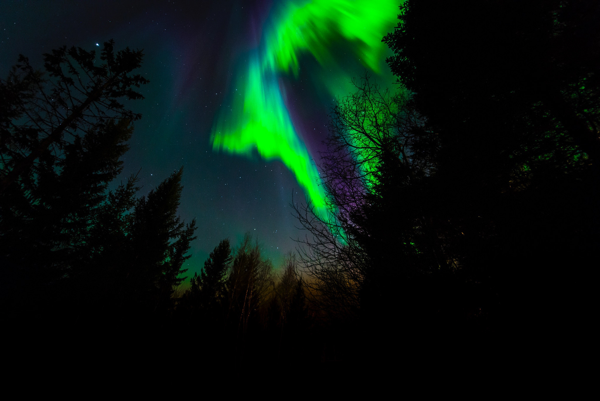 Baixar papel de parede para celular de Estrelas, Noite, Luz, Aurora Boreal, Terra/natureza gratuito.