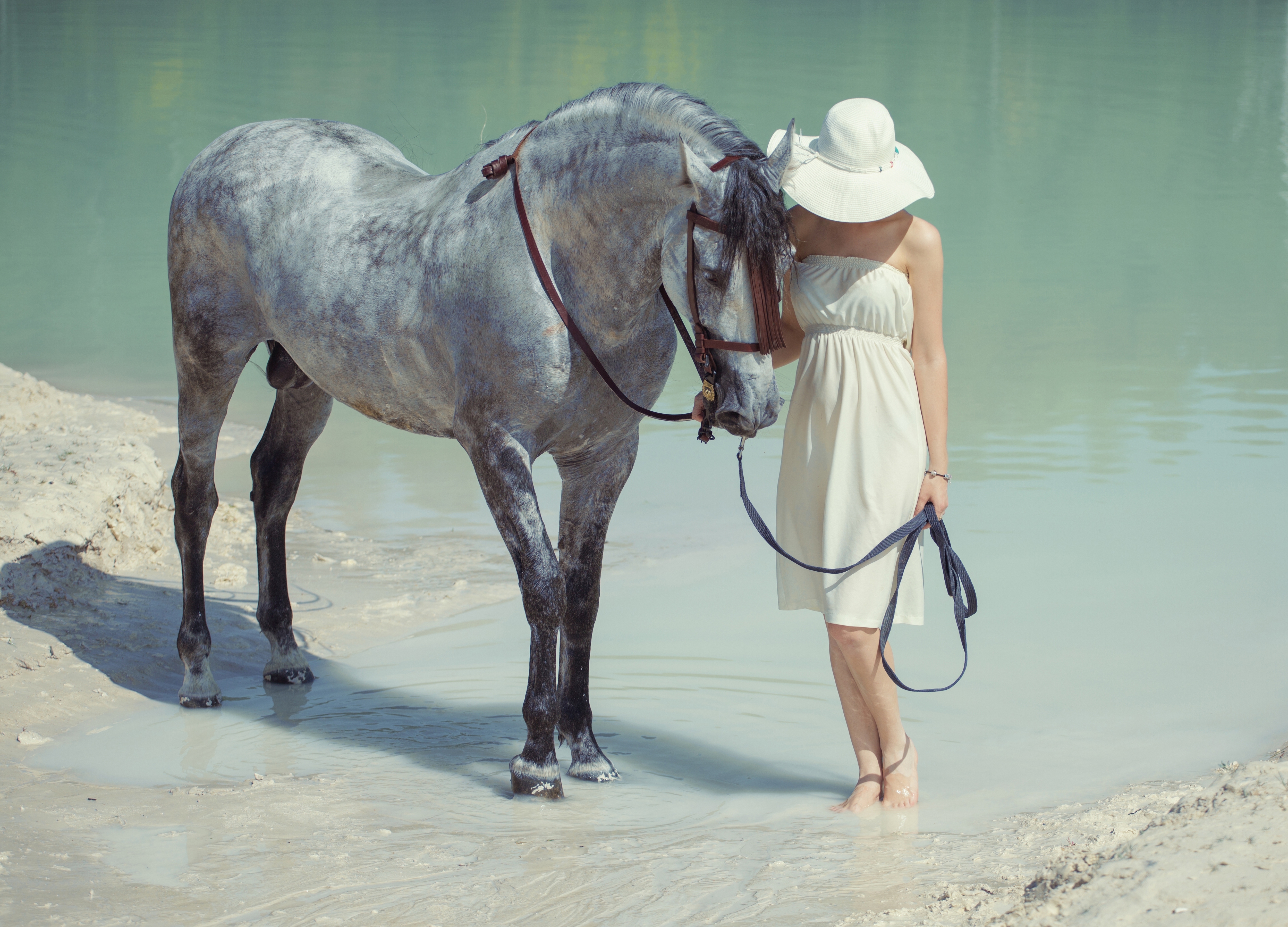 PCデスクトップに水, 馬, 帽子, ムード, 女性画像を無料でダウンロード