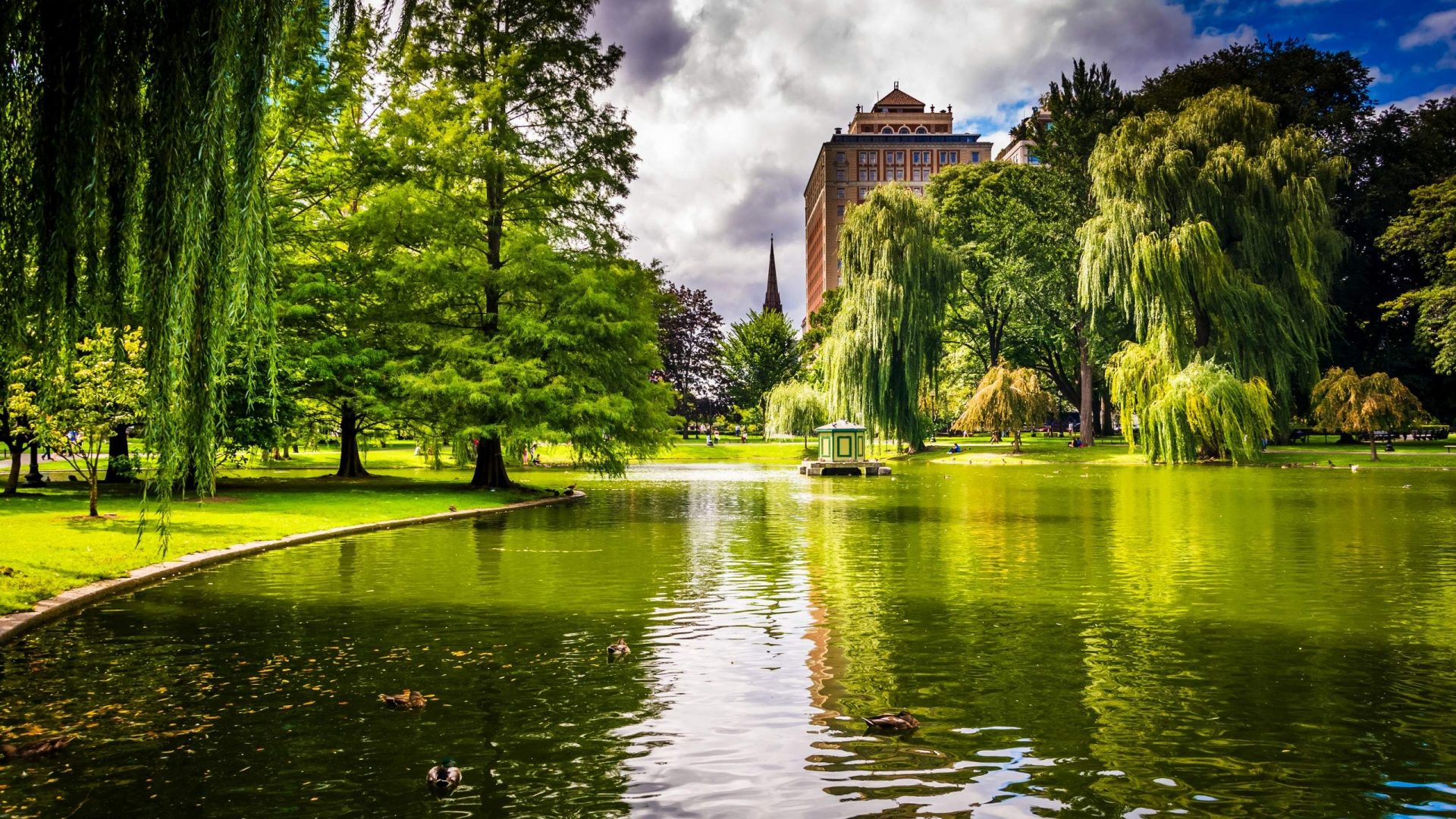 Laden Sie das Park, Baum, Teich, Boston, Fotografie-Bild kostenlos auf Ihren PC-Desktop herunter
