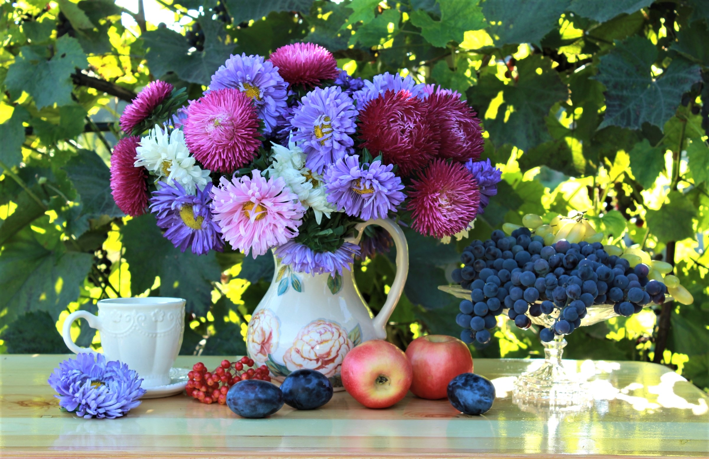 Download mobile wallpaper Grapes, Still Life, Flower, Fruit, Photography, Pitcher, Outdoor, Teacup for free.