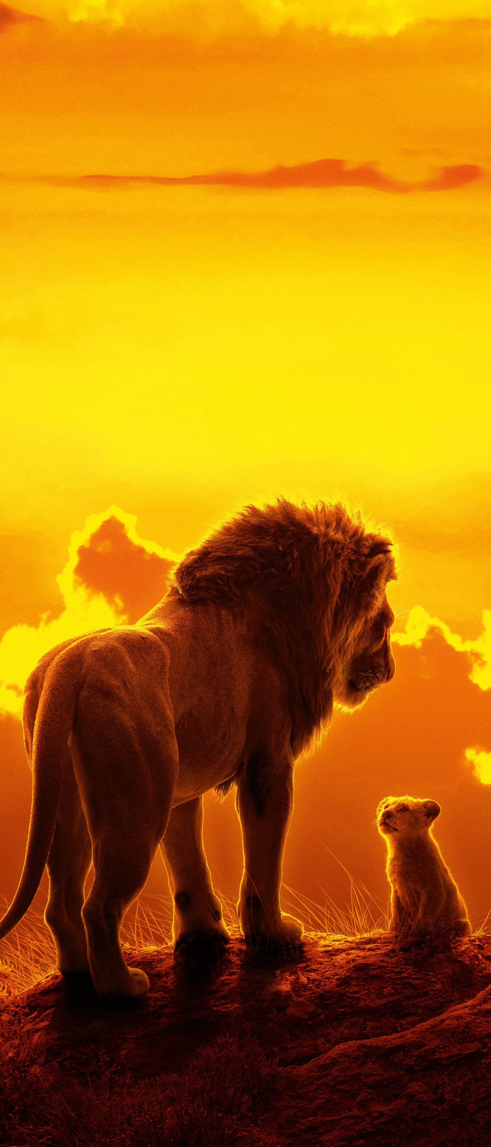 Descarga gratuita de fondo de pantalla para móvil de León, Películas, Bebe Animal, Mufasa (El Rey León), Simba, El Rey León (2019).