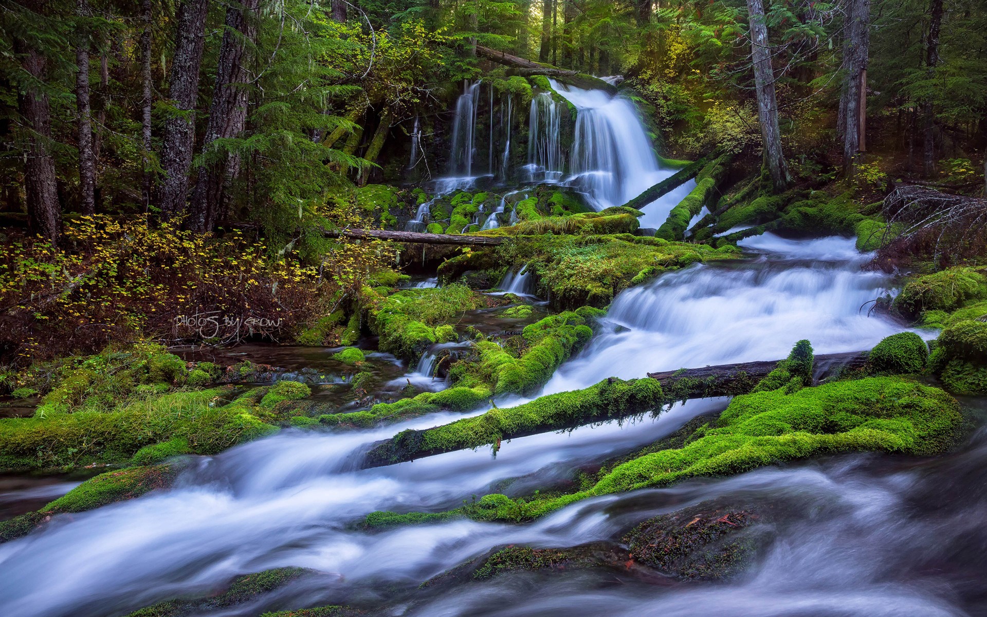 Скачать картинку Водопады, Водопад, Лес, Дерево, Зеленый, Журнал, Земля/природа в телефон бесплатно.