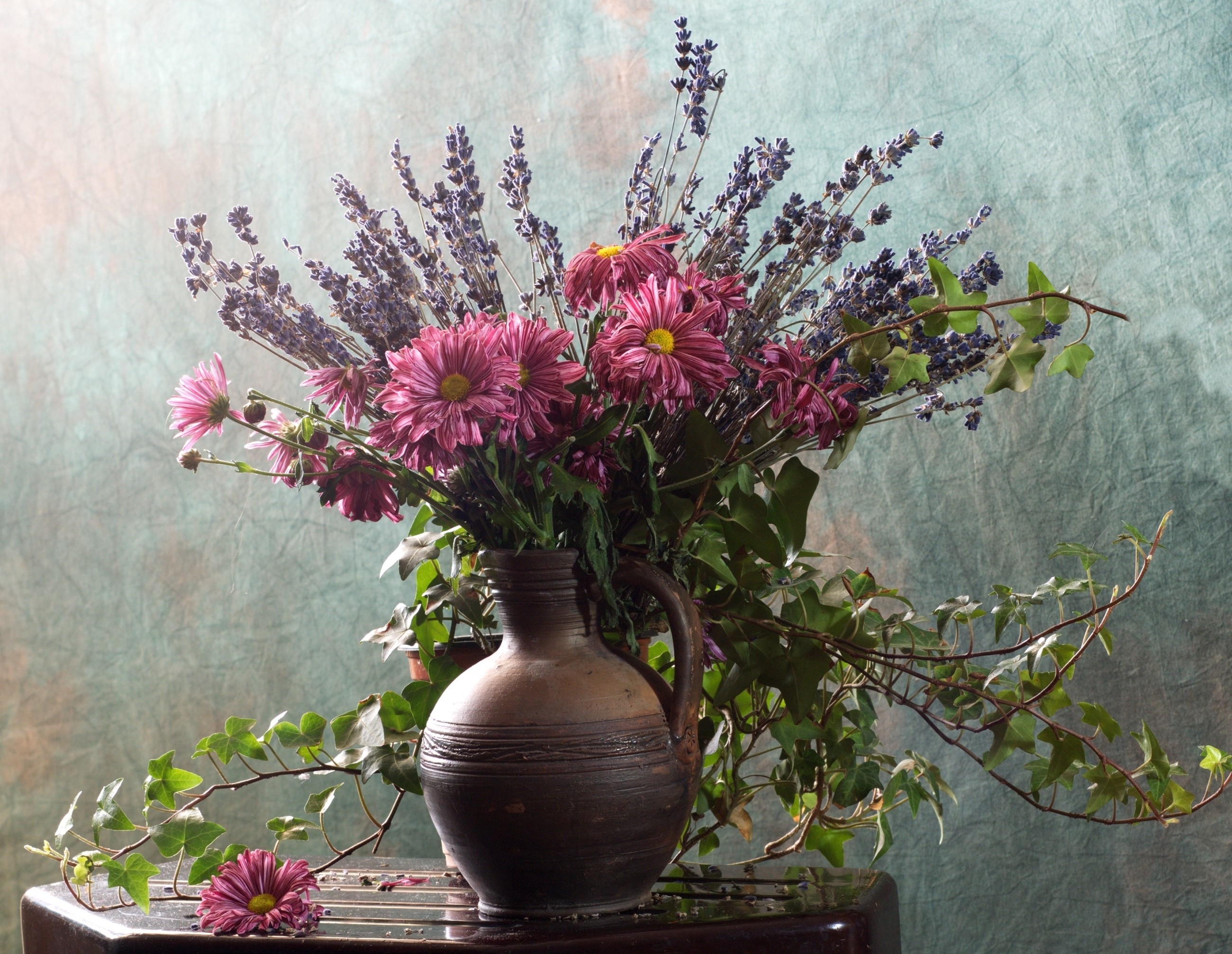 Handy-Wallpaper Blume, Blatt, Vase, Gänseblümchen, Fotografie, Pinke Blume, Stillleben kostenlos herunterladen.