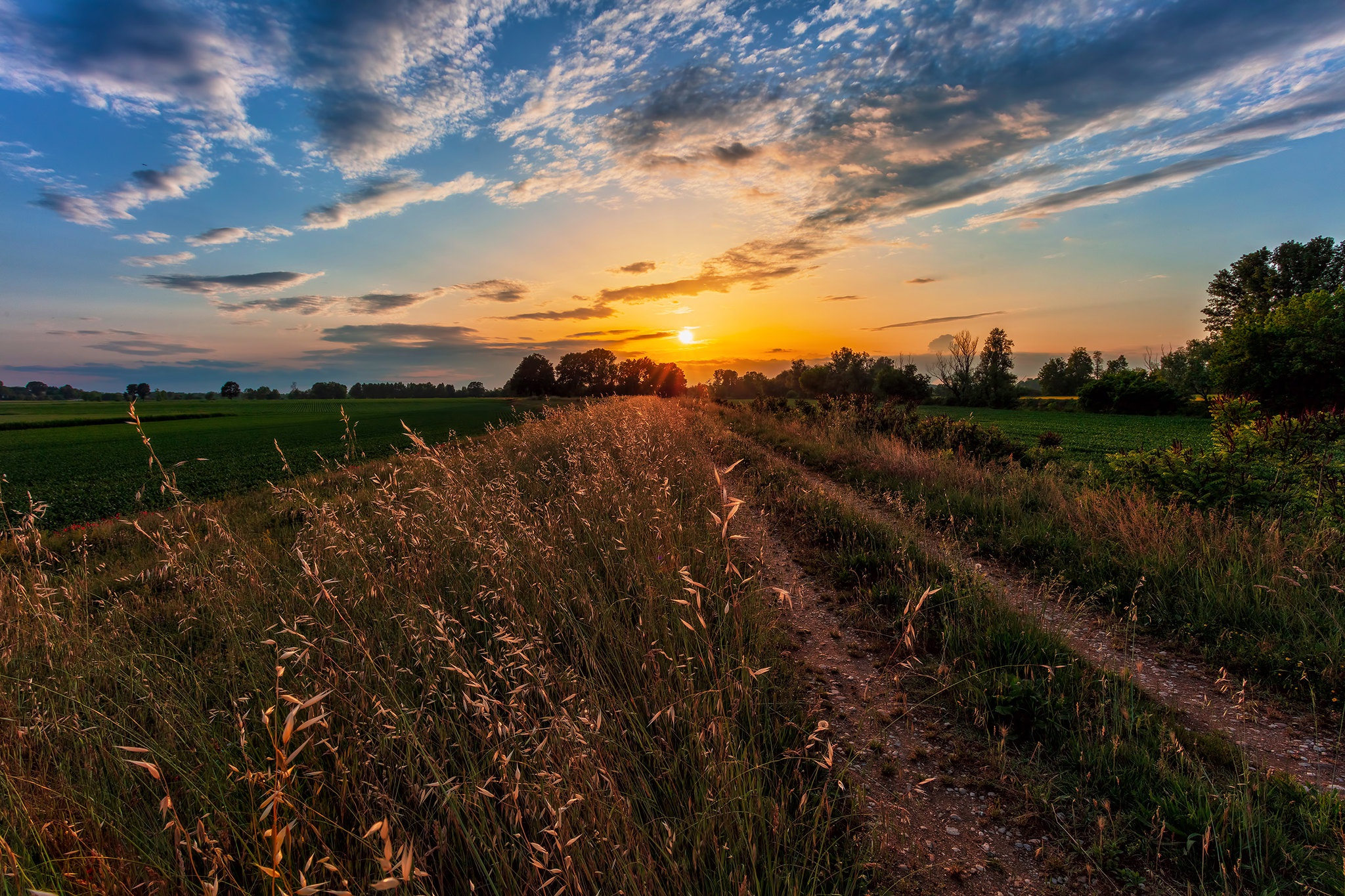 Free download wallpaper Earth, Field on your PC desktop