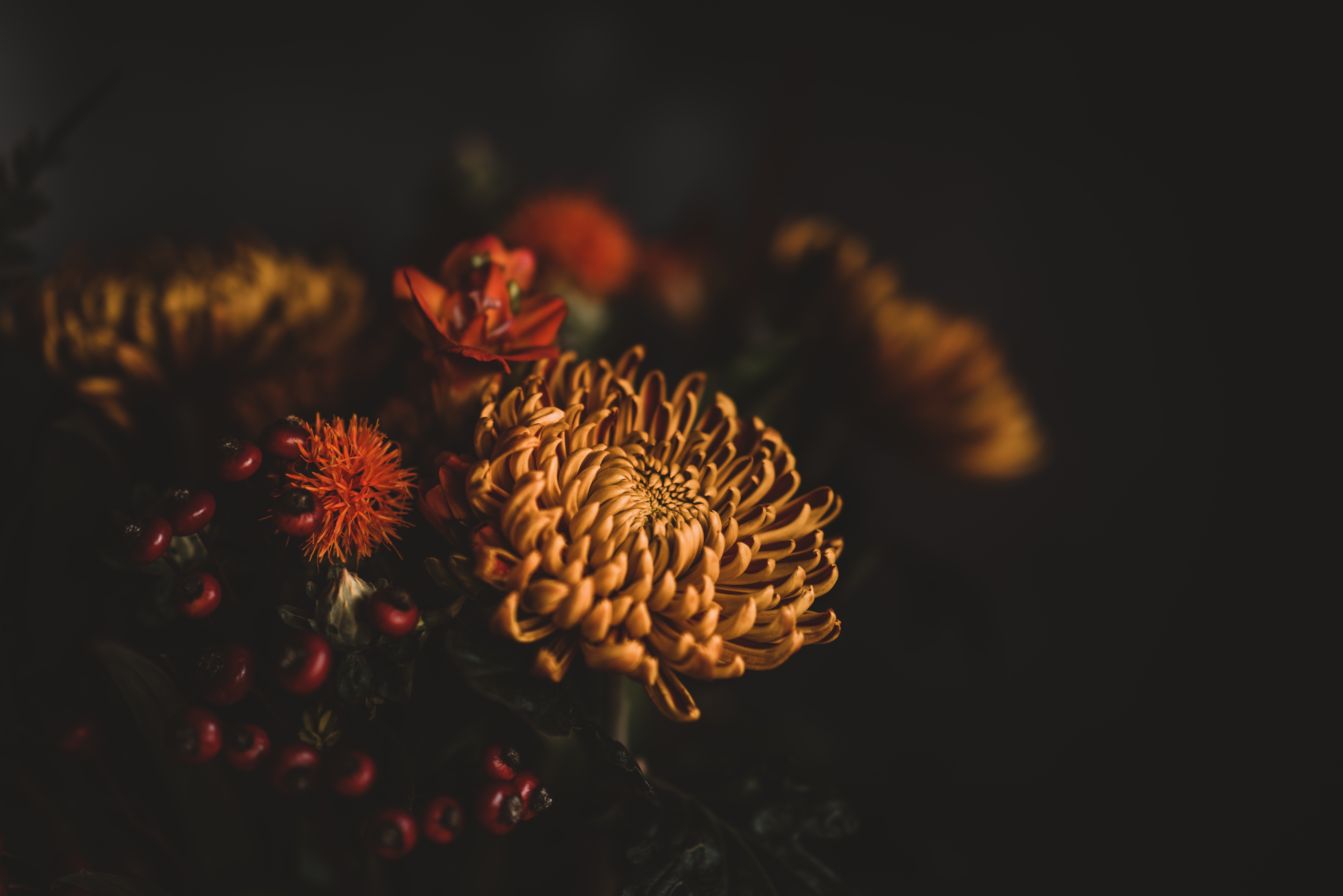 Download mobile wallpaper Flowers, Bouquet, Composition, Dark for free.