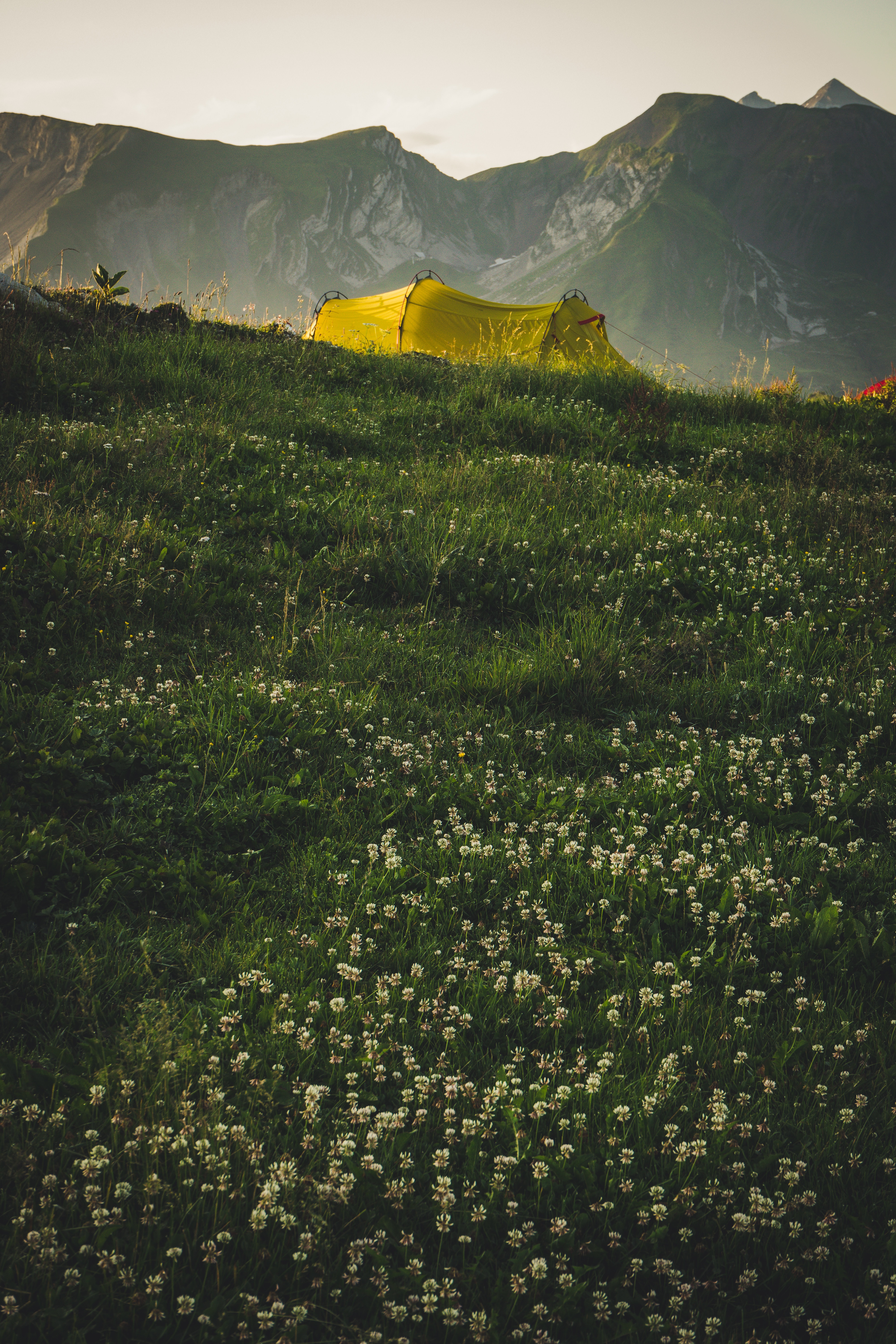 Laden Sie das Natur, Grass, Mountains, Zelt, Campingplatz, Camping-Bild kostenlos auf Ihren PC-Desktop herunter