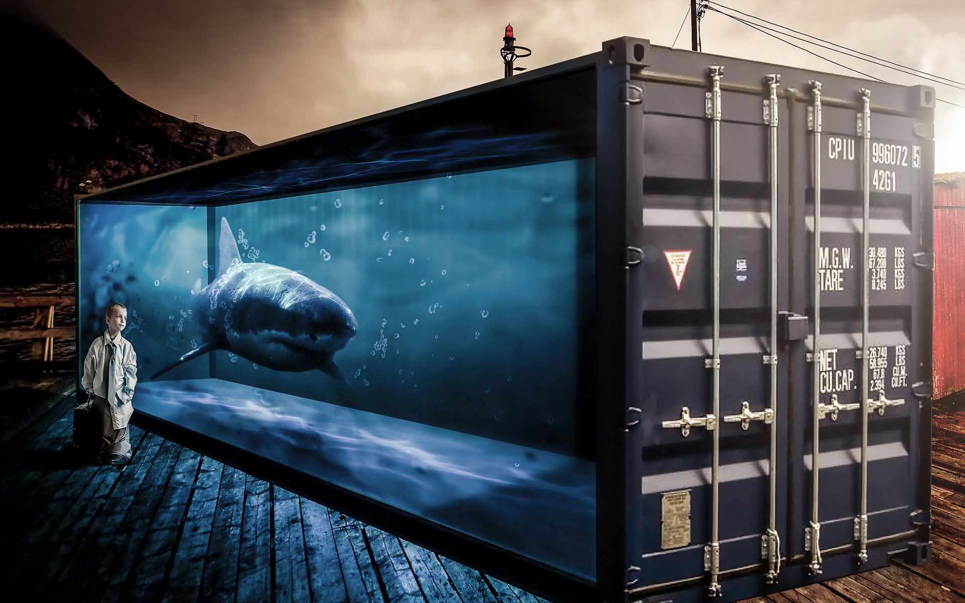 Laden Sie das Haie, Hai, Tiere-Bild kostenlos auf Ihren PC-Desktop herunter
