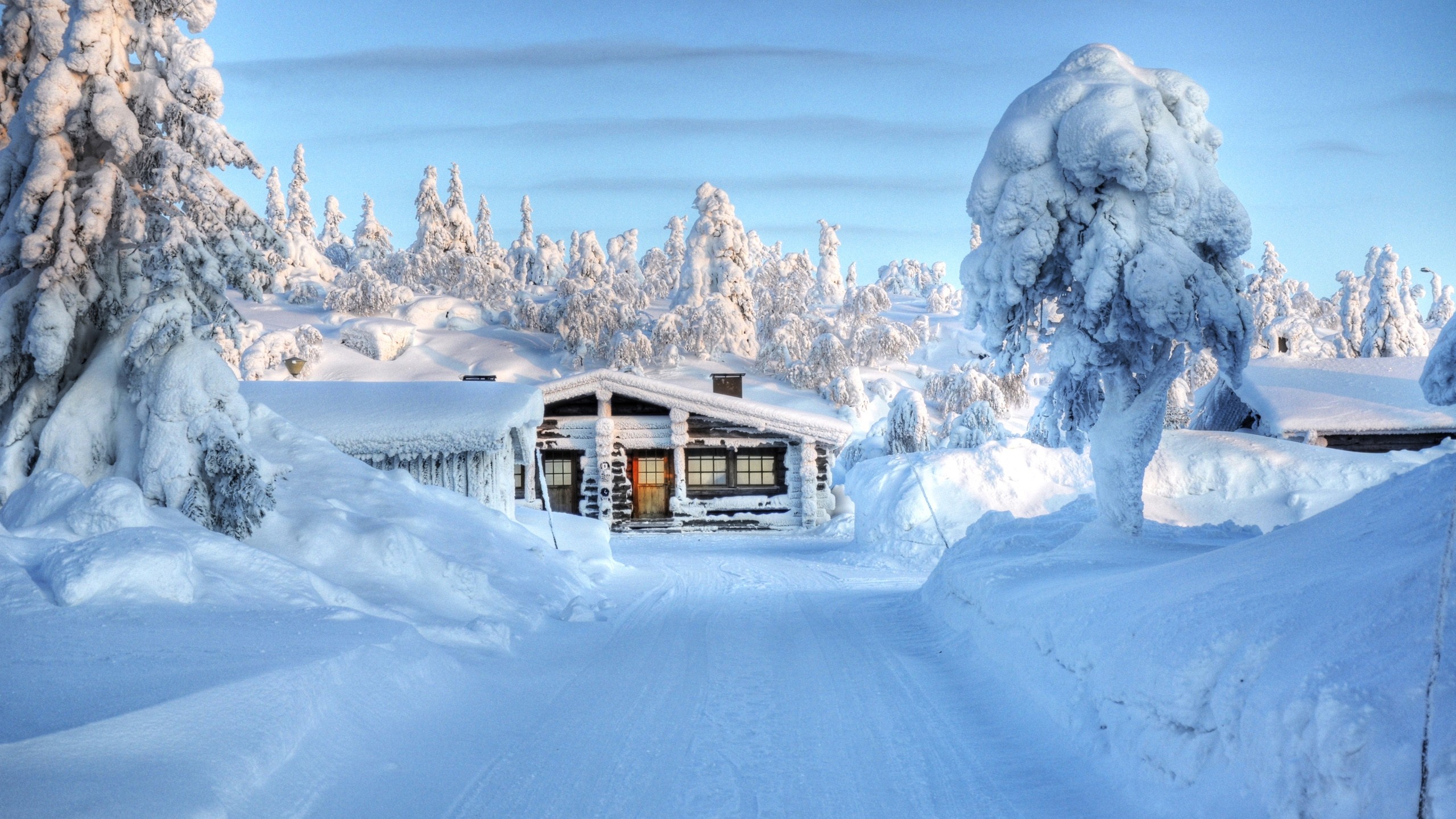 photography, winter, cabin, house, snow