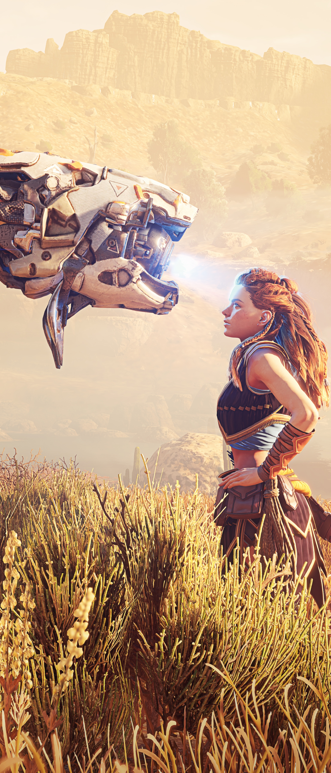 Descarga gratuita de fondo de pantalla para móvil de Videojuego, Horizon Zero Dawn, Aloy (Serie Horizonte).