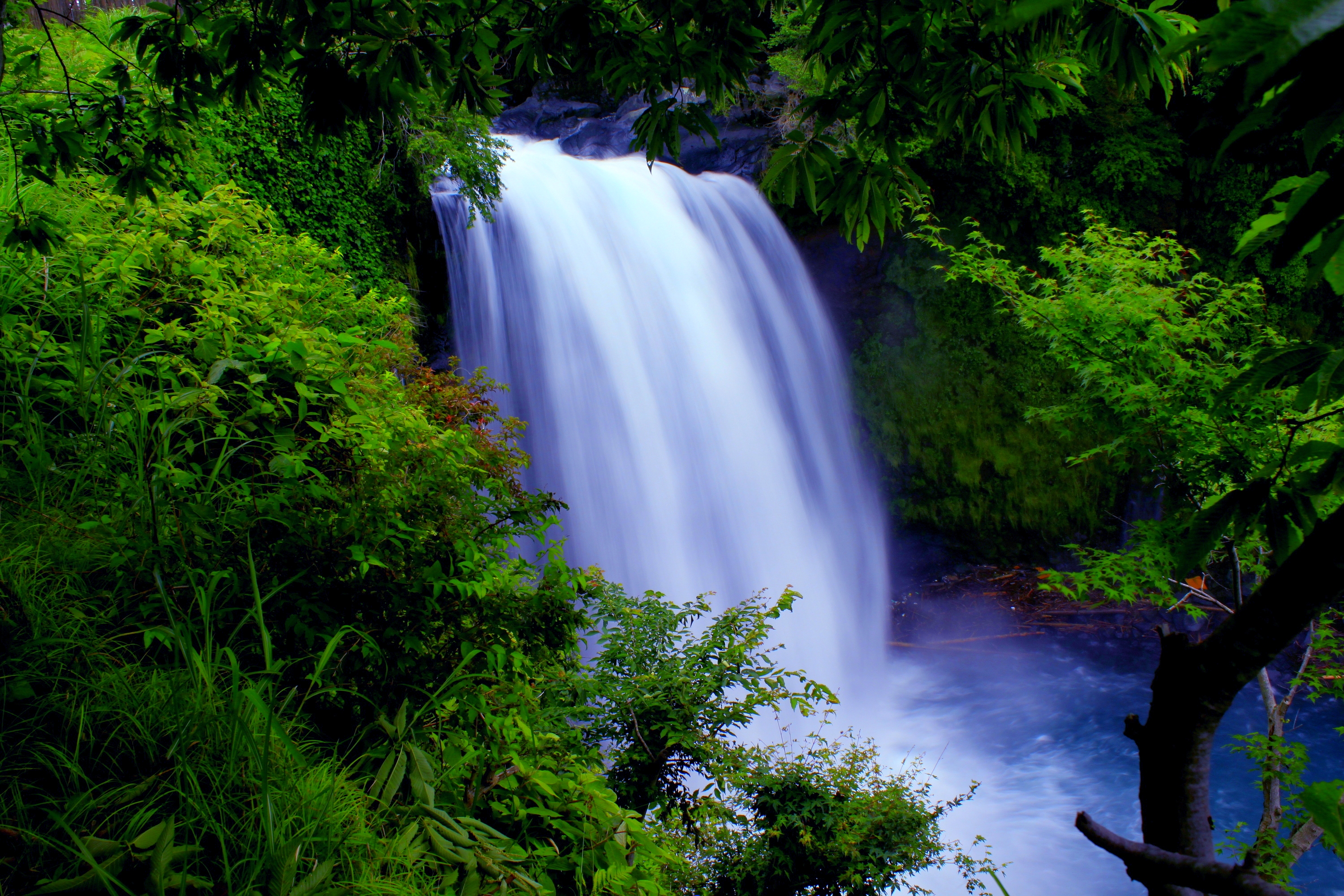 Téléchargez gratuitement l'image Cascades, Forêt, La Nature, Terre/nature, Chûte D'eau sur le bureau de votre PC