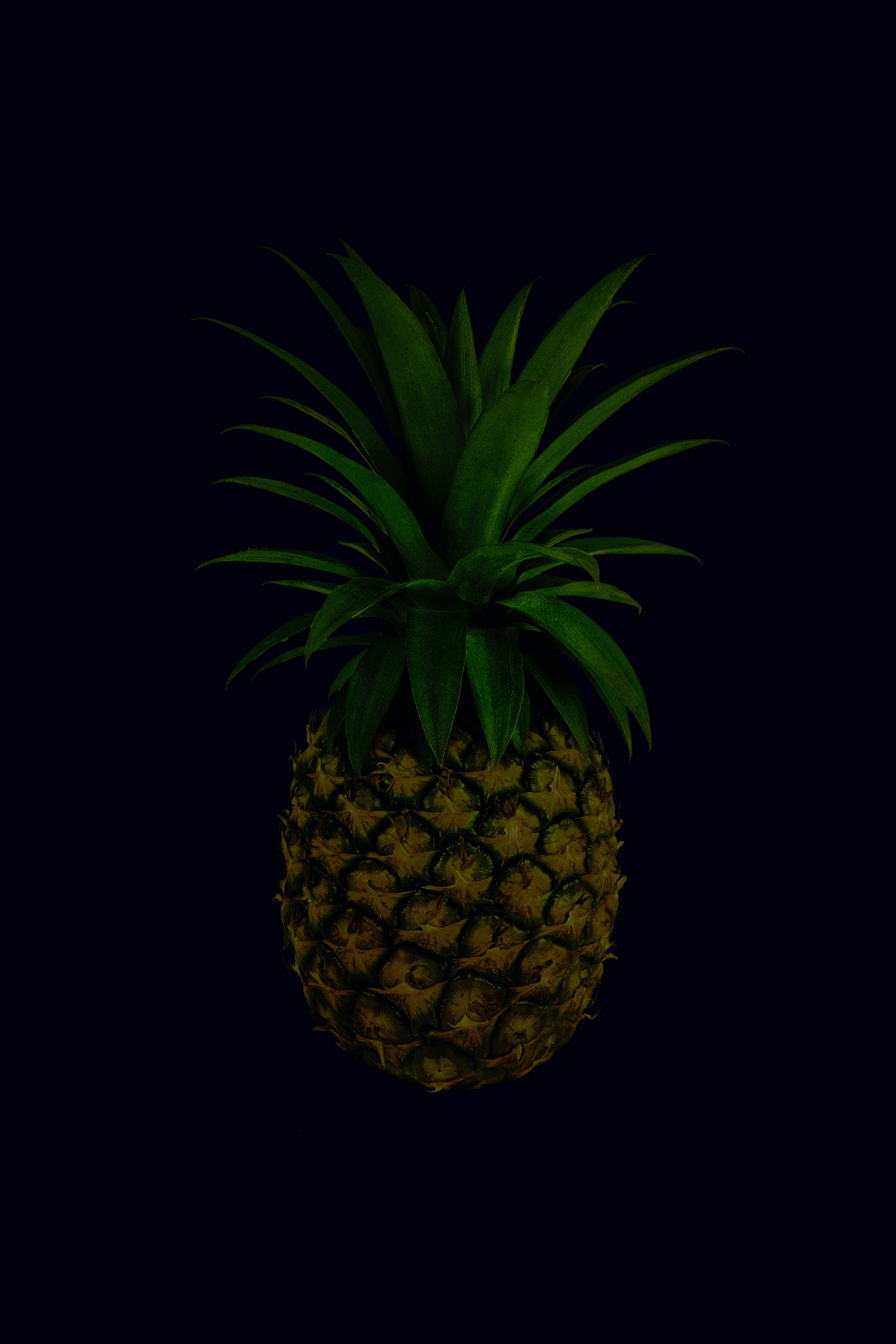 Free download wallpaper Food, Pineapple, Leaves, Tropical, Fruit on your PC desktop