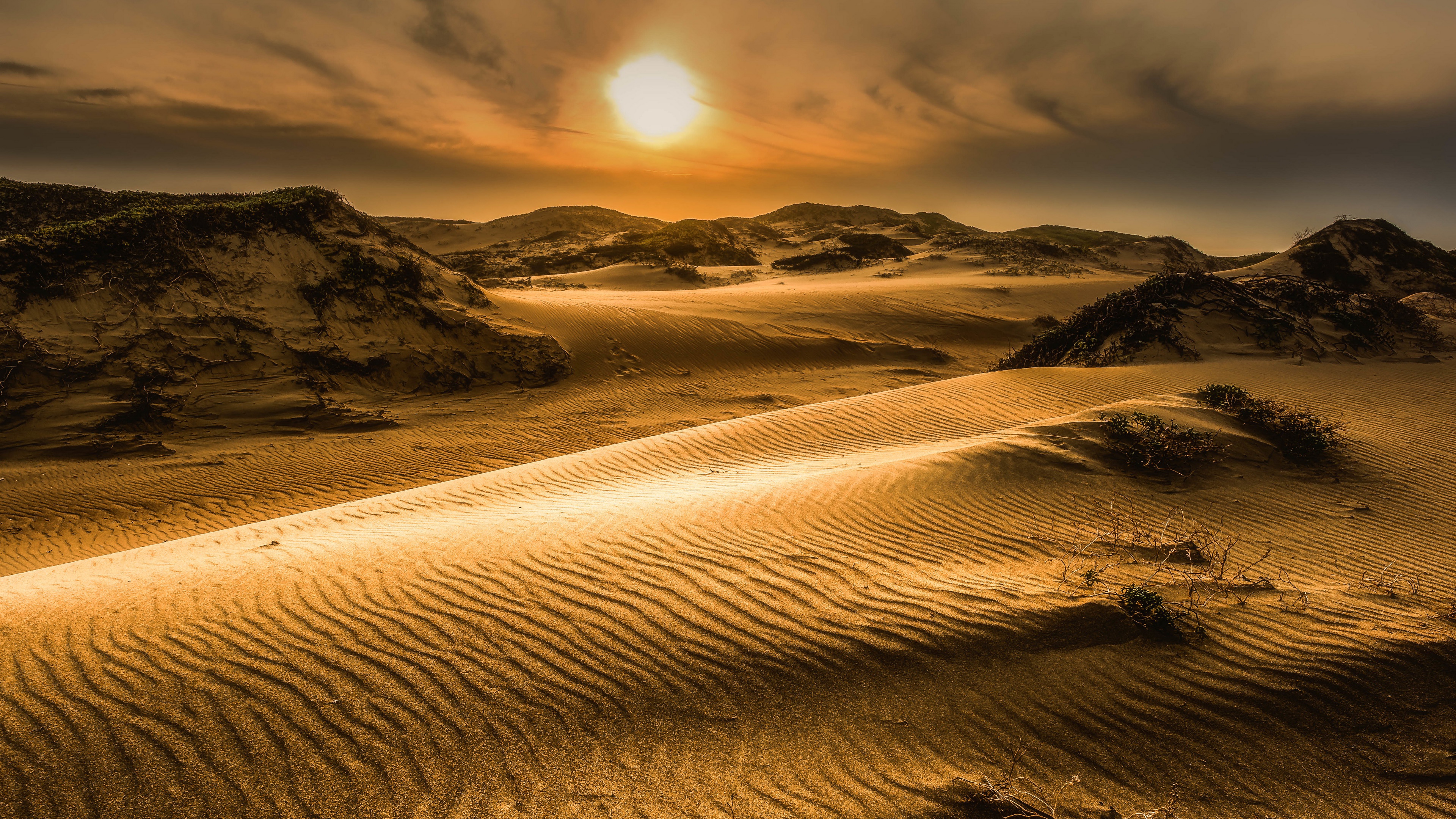 Скачать картинку Природа, Закат, Песок, Пустыня, Ландшафт, Земля/природа в телефон бесплатно.