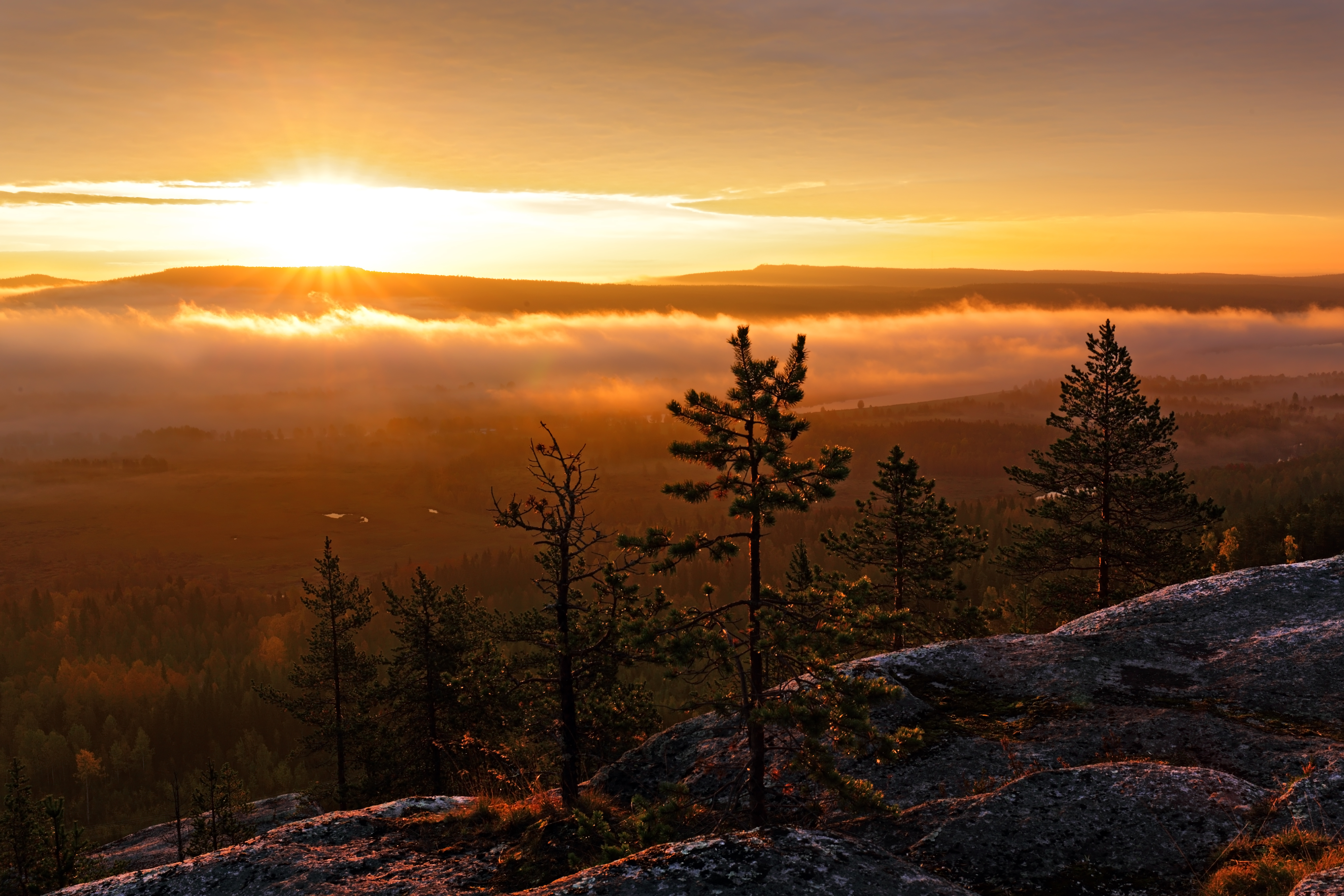 Laden Sie das Landschaft, Natur, Horizont, Nebel, Sonnenaufgang, Morgen, Erde/natur-Bild kostenlos auf Ihren PC-Desktop herunter