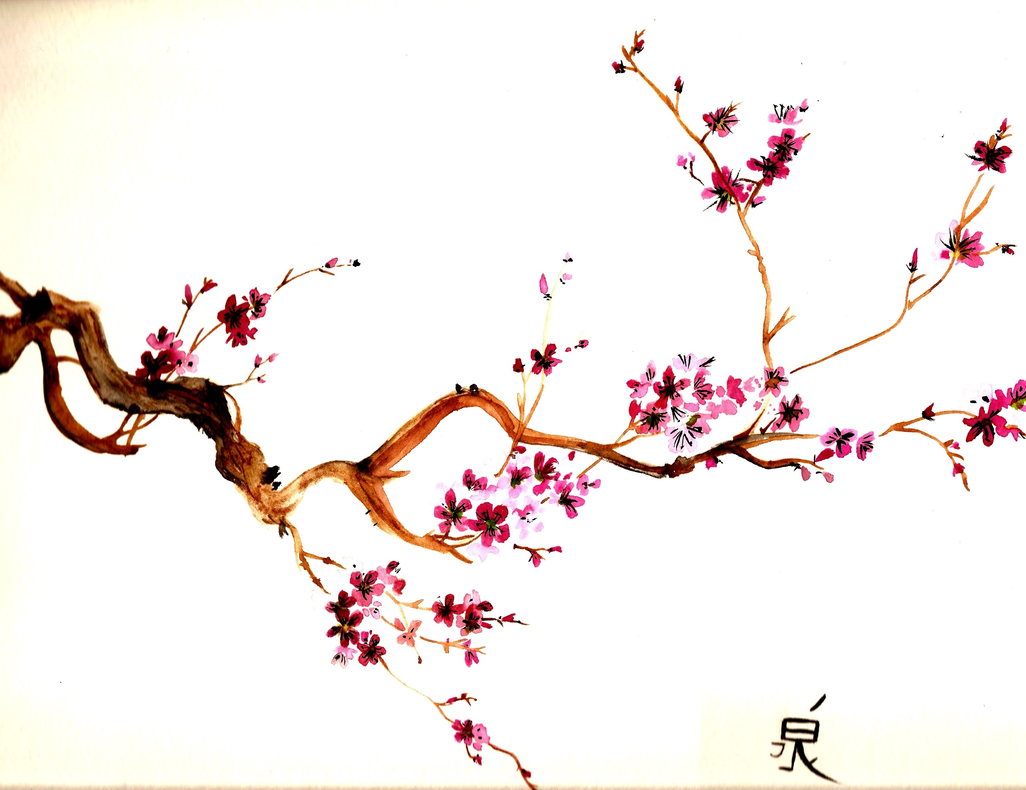 23017画像をダウンロード桜, 写真, 植物, フラワーズ, アジア, 白-壁紙とスクリーンセーバーを無料で