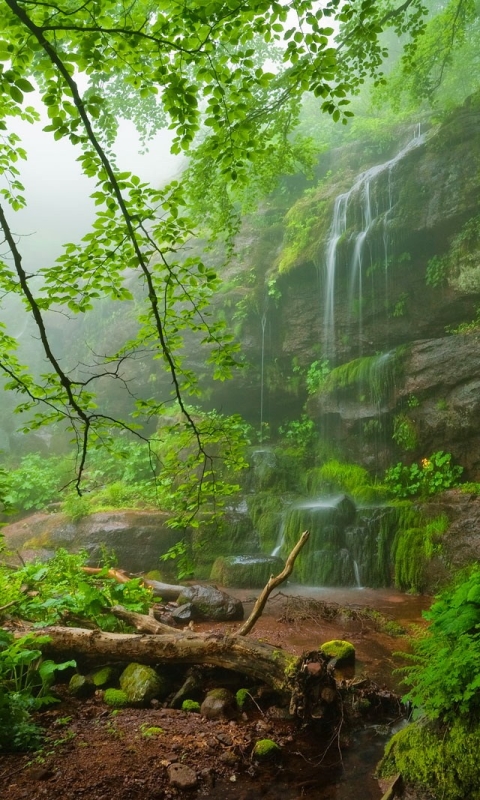 Download mobile wallpaper Waterfalls, Waterfall, Forest, Tree, Earth, Bulgaria for free.