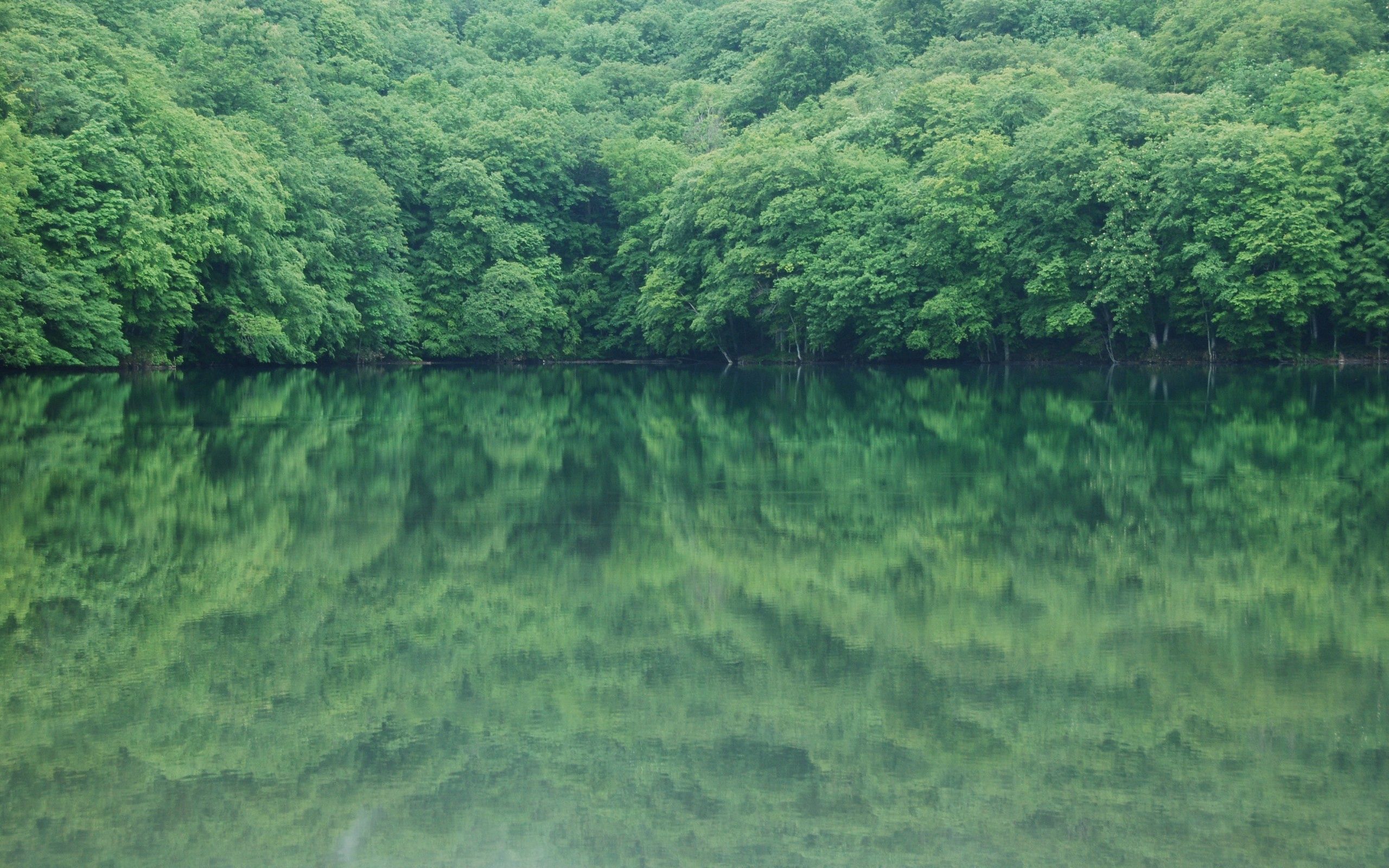 Download mobile wallpaper Reflection, Trees, Rivers, Nature for free.