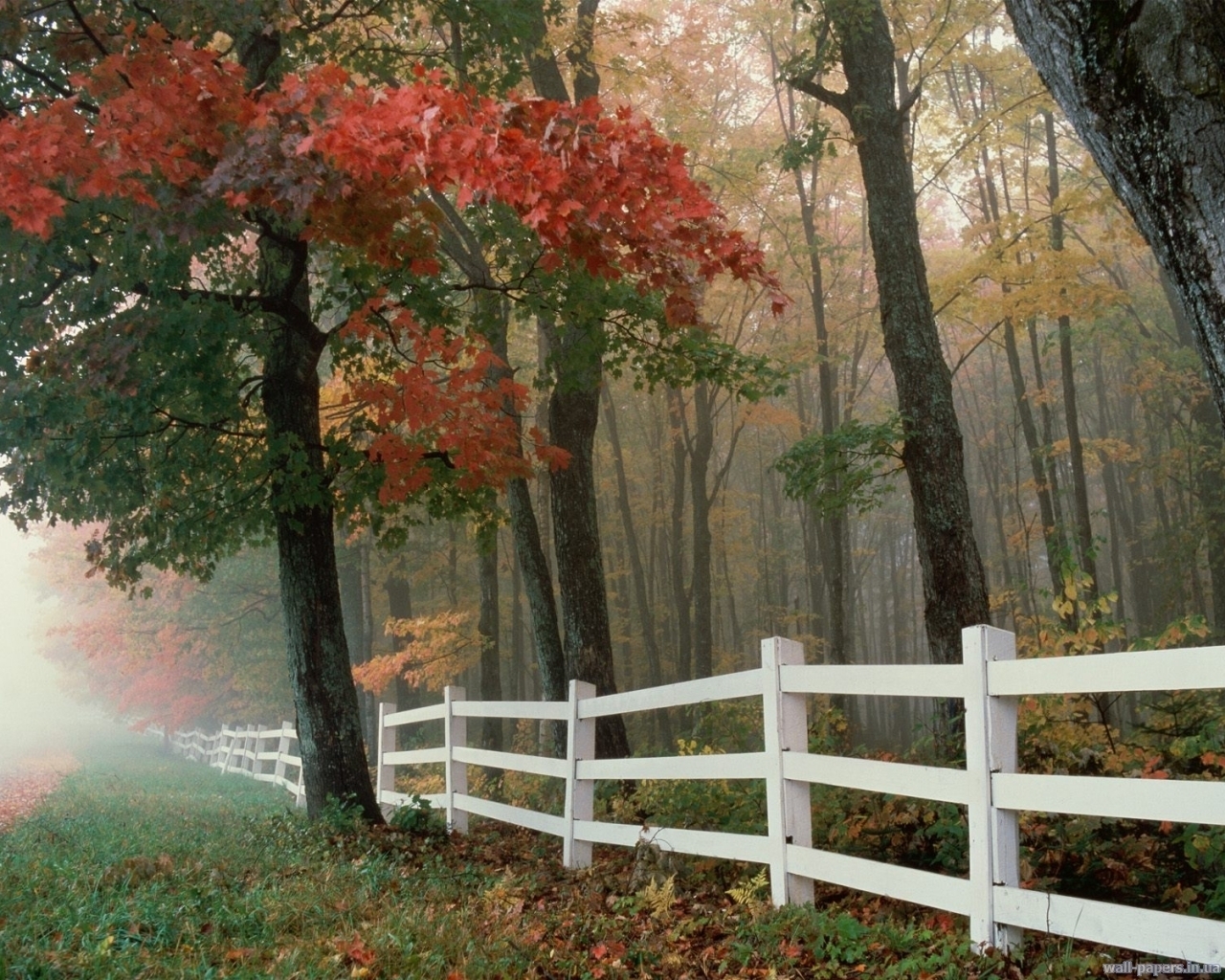 Handy-Wallpaper Bäume, Landschaft, Herbst kostenlos herunterladen.