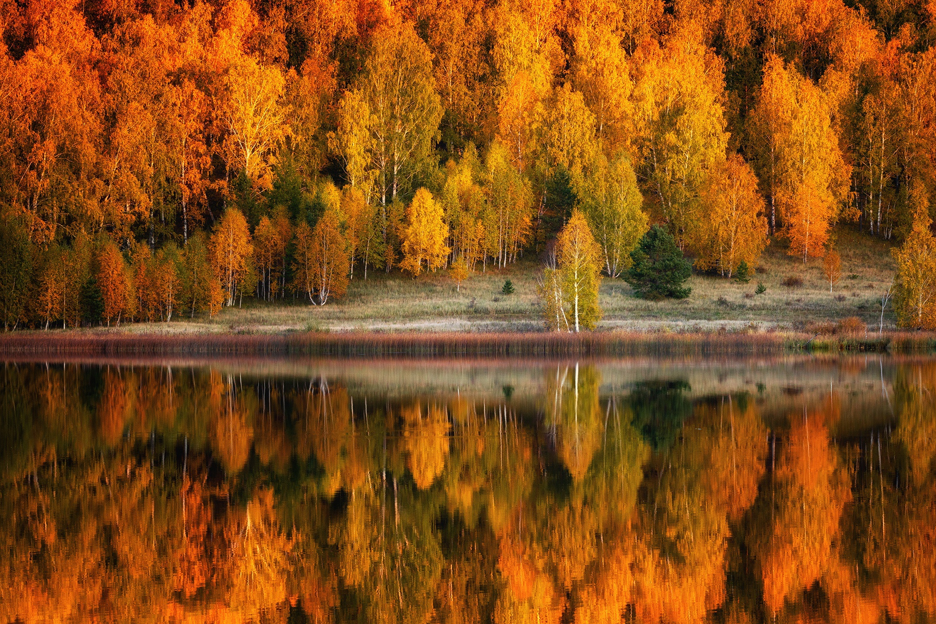 Handy-Wallpaper Herbst, Erde/natur, Spiegelung kostenlos herunterladen.