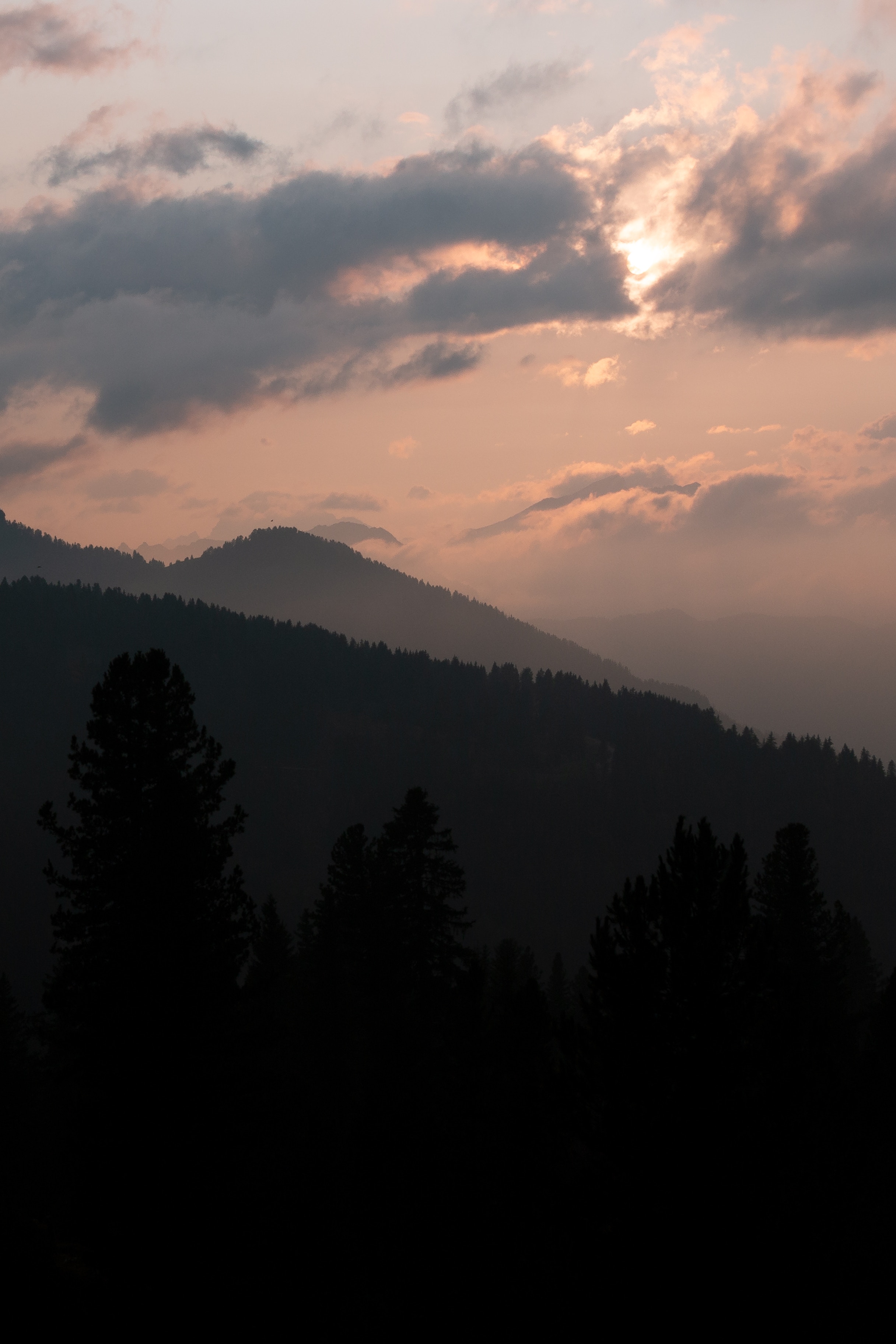 Téléchargez gratuitement l'image Nature, Élévation, Arbres, Montagnes, Nuit, Dolomites, Italie sur le bureau de votre PC