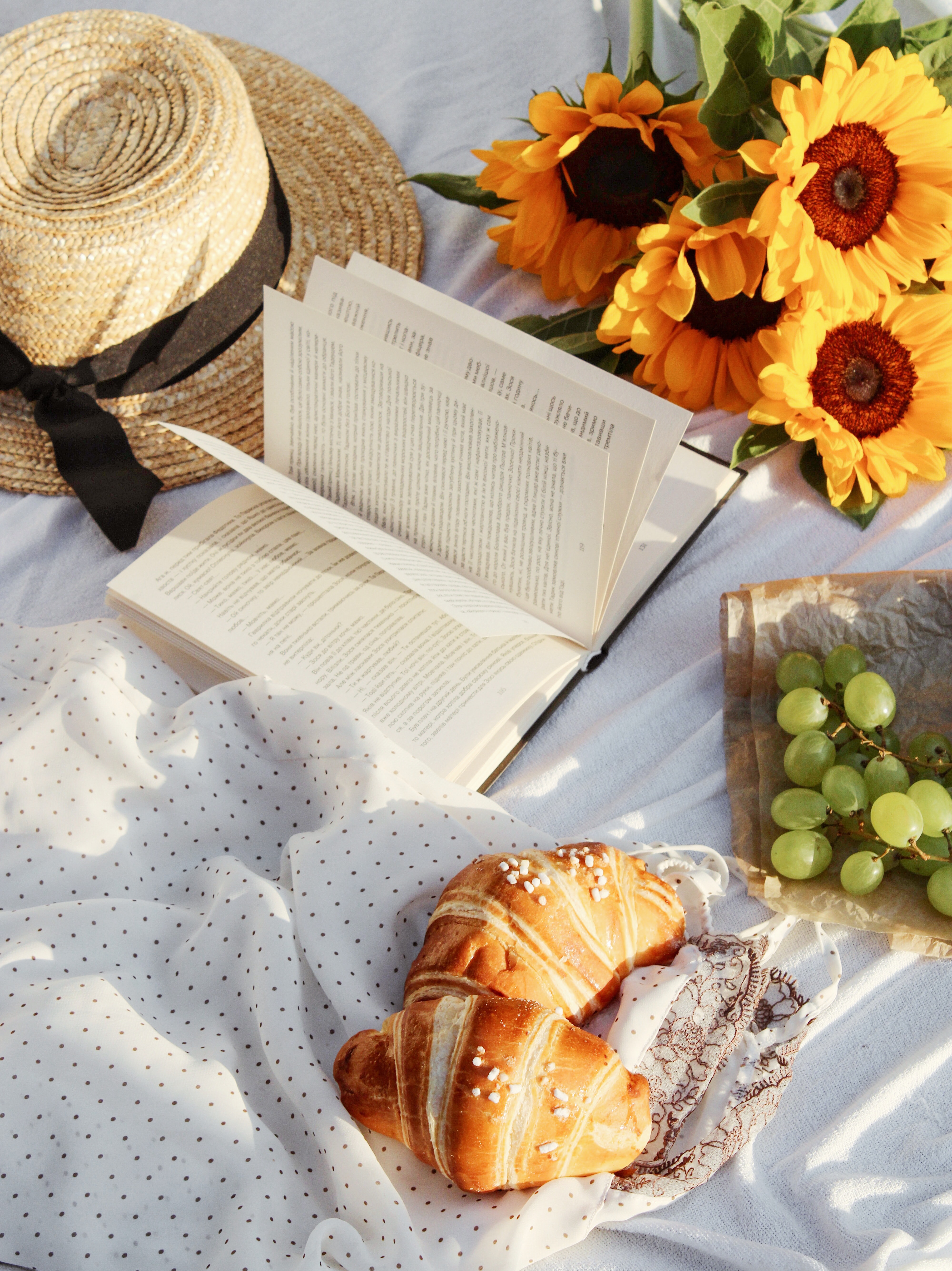 book, hat, miscellanea, miscellaneous, picnic, croissant cellphone