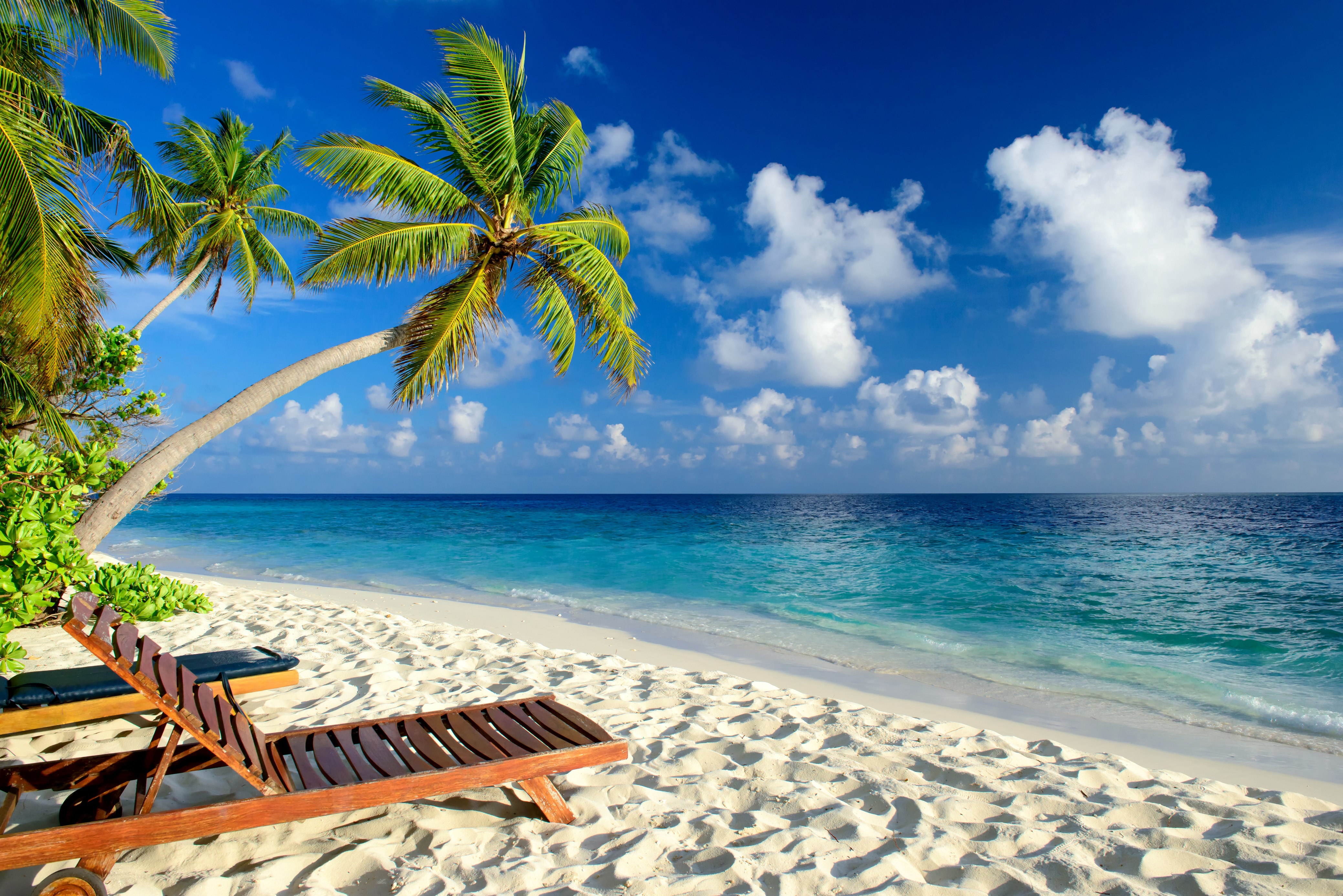 Free download wallpaper Sky, Sea, Beach, Sand, Horizon, Tropics, Photography, Palm Tree on your PC desktop