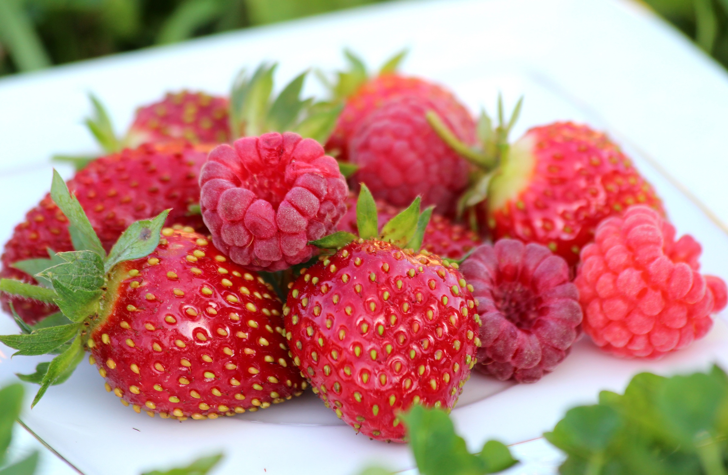 Download mobile wallpaper Food, Strawberry, Raspberry, Berry, Fruit for free.