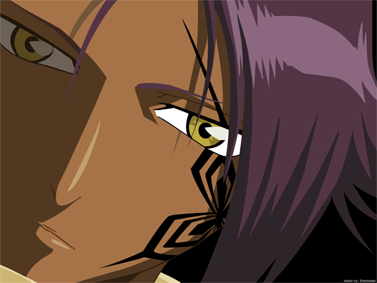 Download mobile wallpaper Anime, Bleach, Yoruichi Shihôin for free.