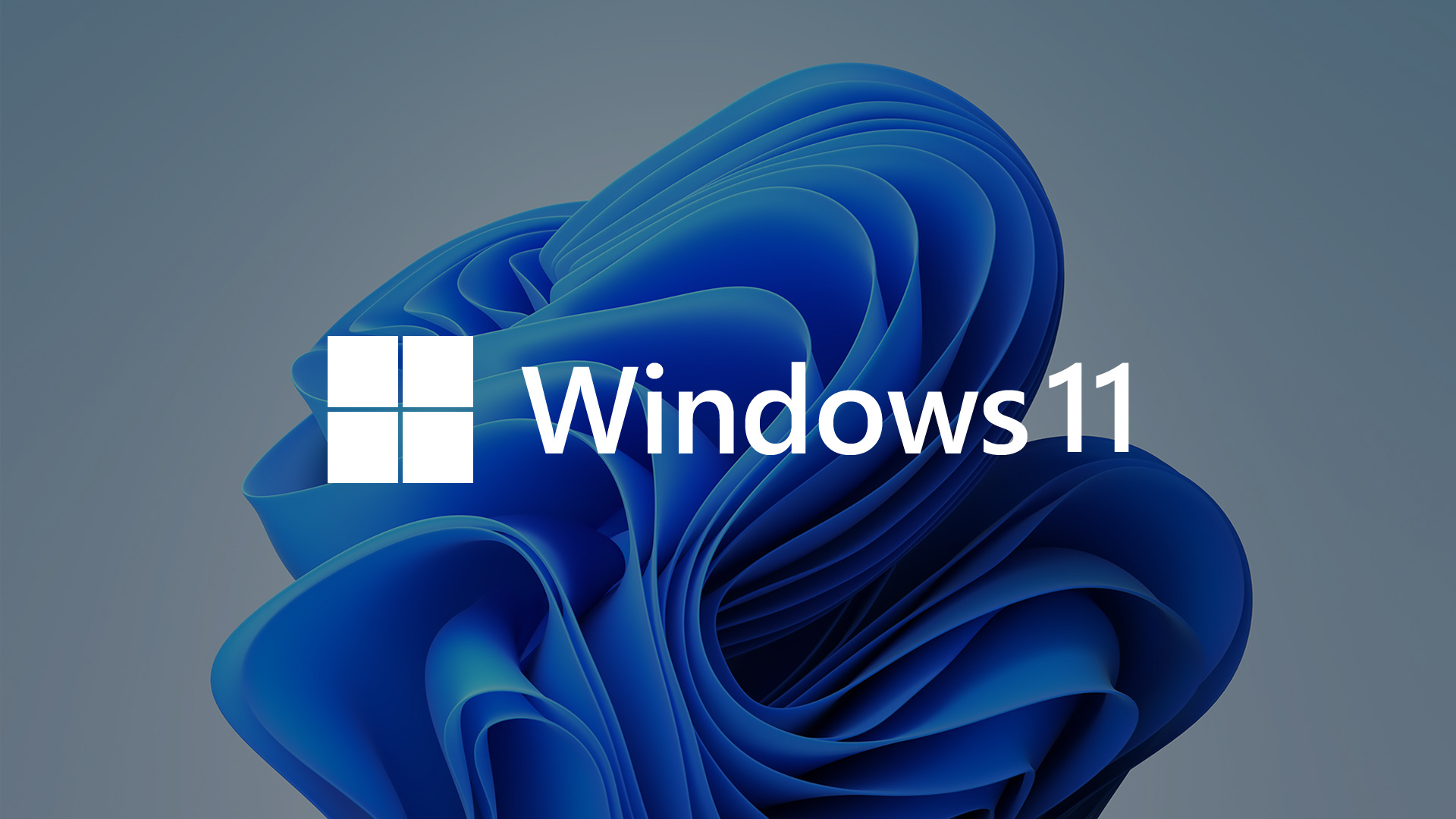 windows 11, technology