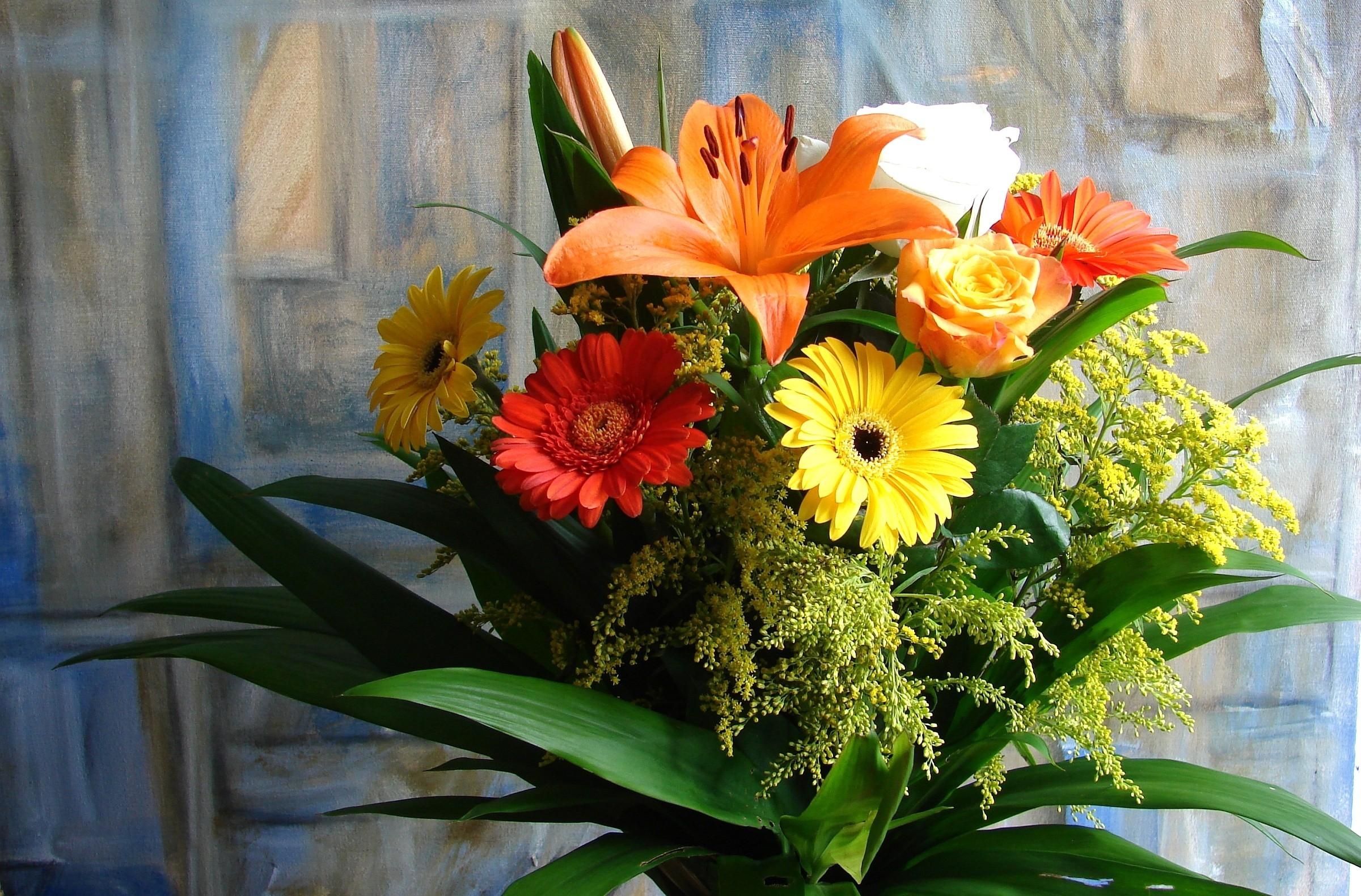 Laden Sie das Gerbera, Strauß, Bouquet, Komposition, Zusammensetzung, Blumen, Lilien, Bild, Roses-Bild kostenlos auf Ihren PC-Desktop herunter