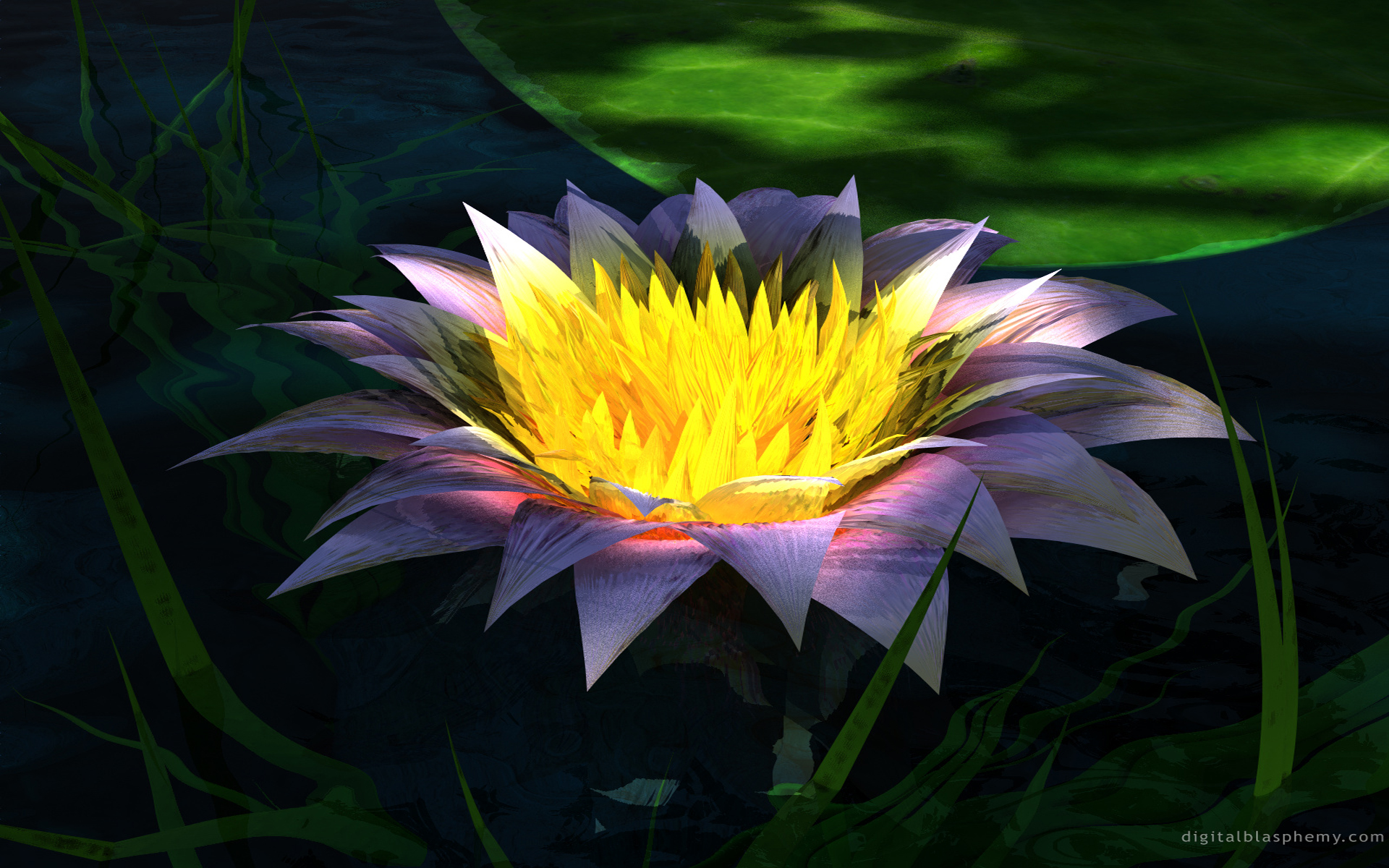 Téléchargez des papiers peints mobile Fleurs, Lotus, Terre/nature gratuitement.