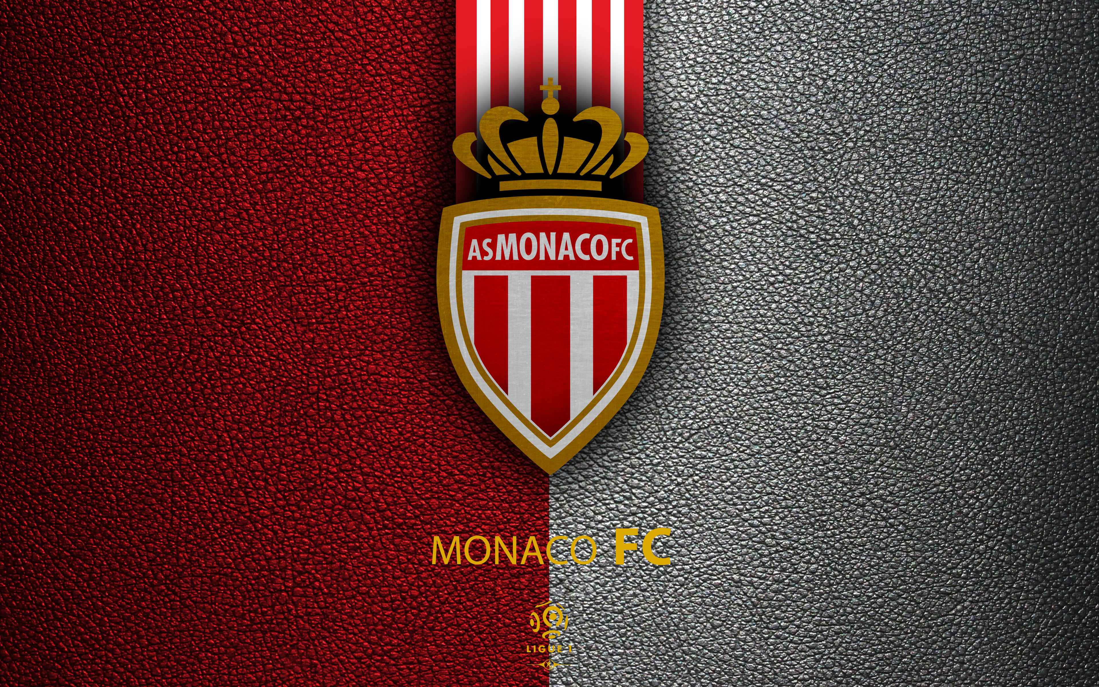 Die besten As Monaco Fc-Hintergründe für den Telefonbildschirm
