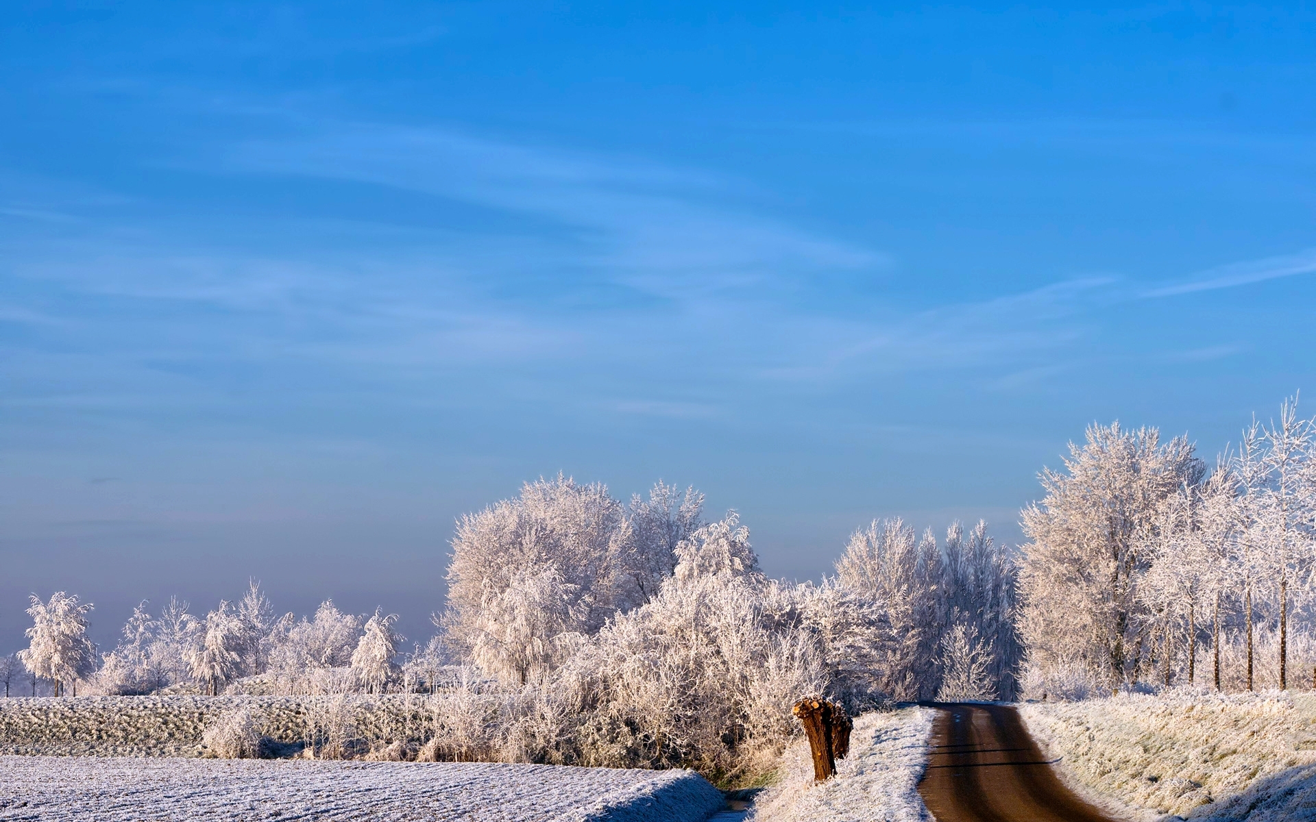 landscape, winter, trees, roads, blue 1080p