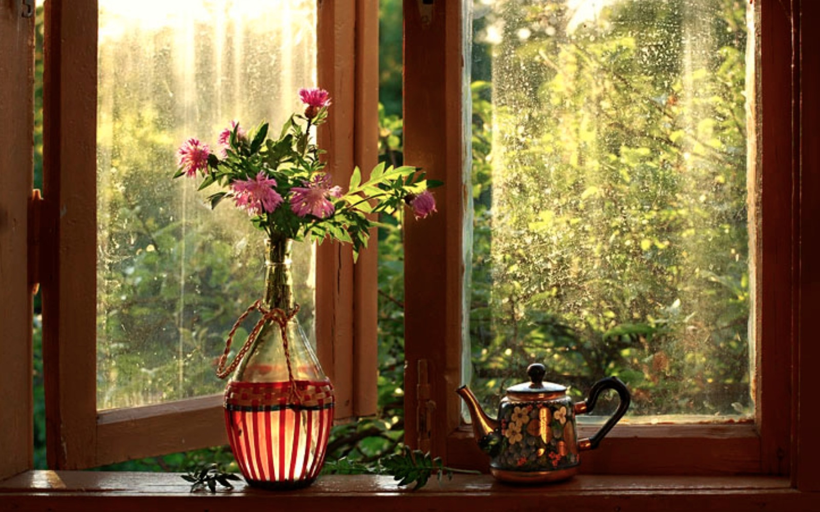 Handy-Wallpaper Blume, Krug, Fenster, Vase, Fotografie, Stillleben kostenlos herunterladen.